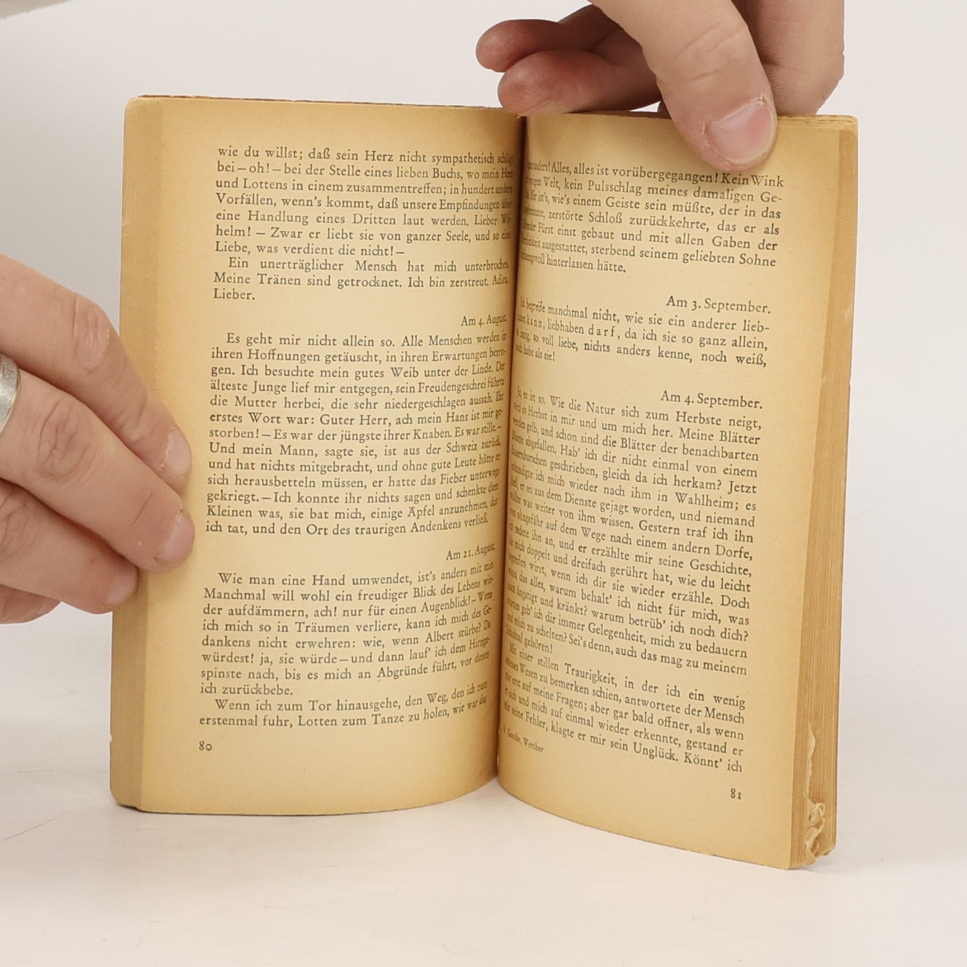 Goethe Die Leiden des jungen Werthers