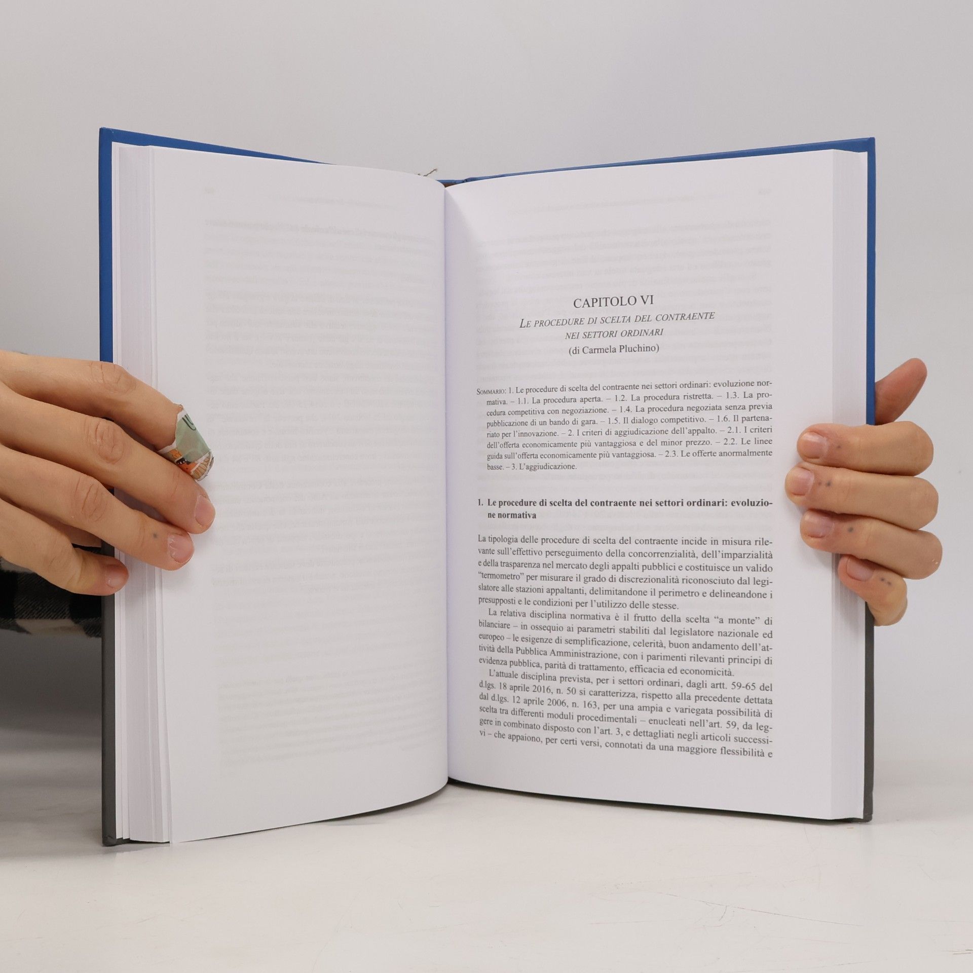 Maurizio Meschino Italiappalti.it: I nuovi appalti pubblici di servizi e forniture. Guida operativa completa alla luce del nuovo codice e del correttivo