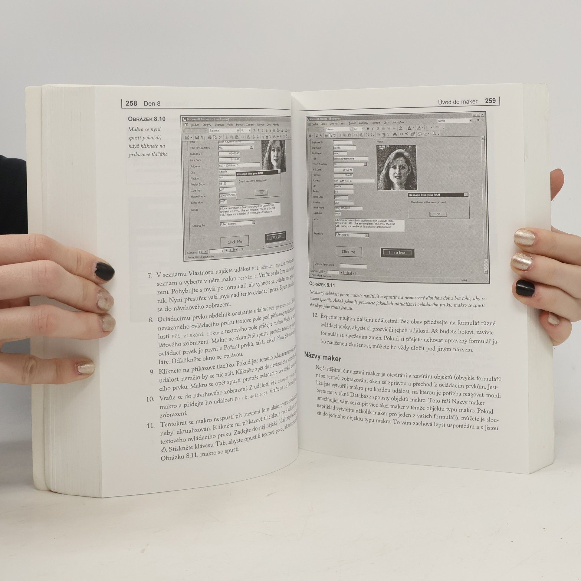 Paul Cassel Nauč se sám Microsoft Access 2002 za 21 dní