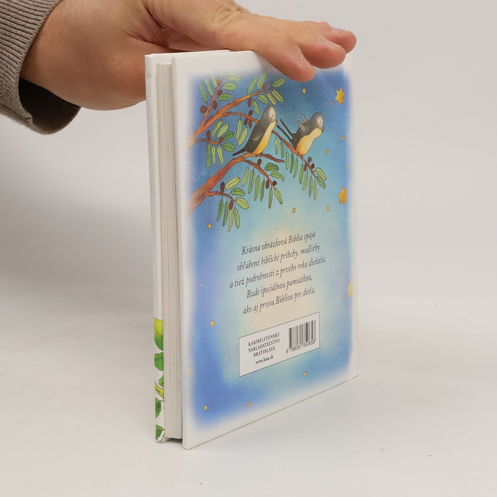 Lizzie Ribbonsová Biblia ku krstu