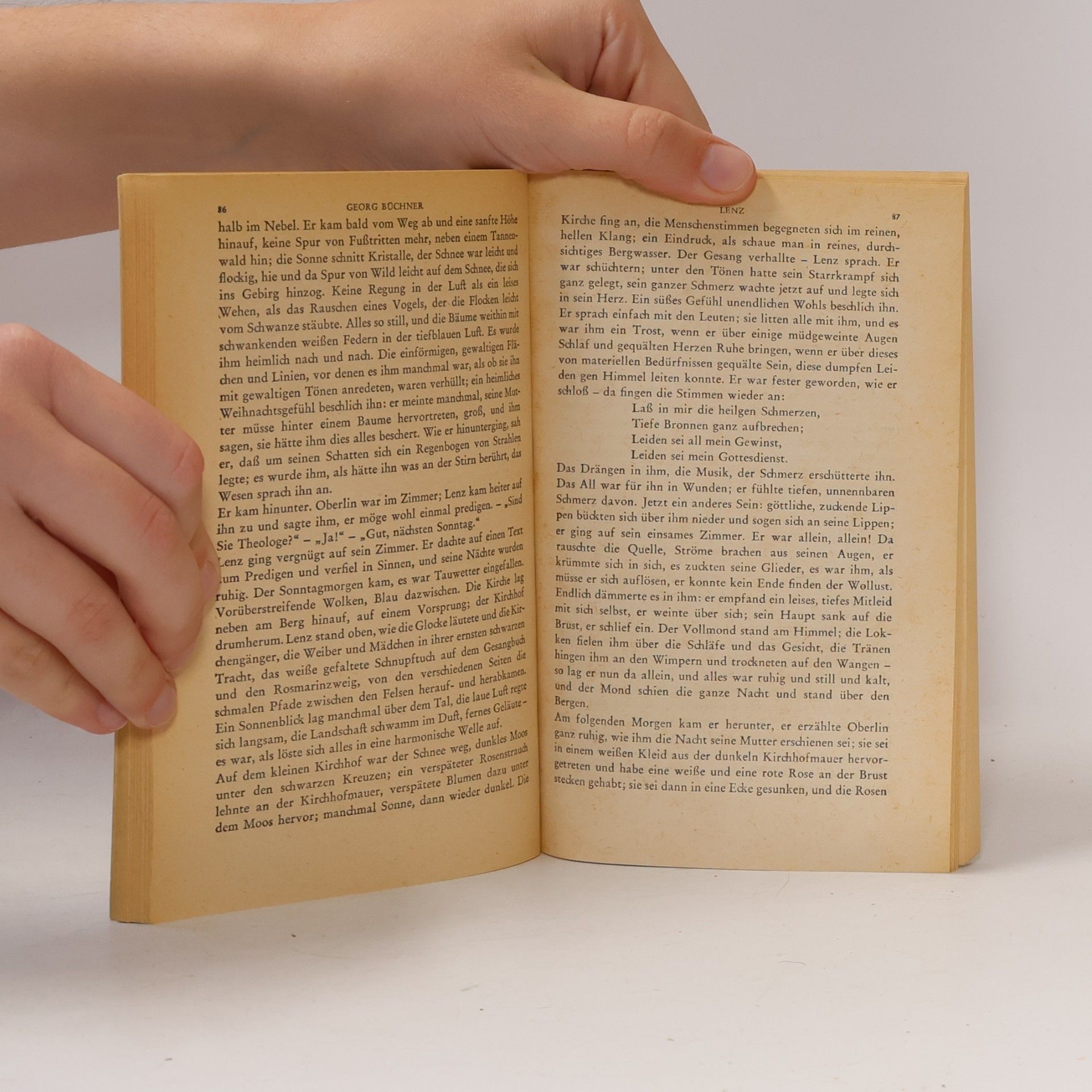 Georg Büchner Gesammelte Werke