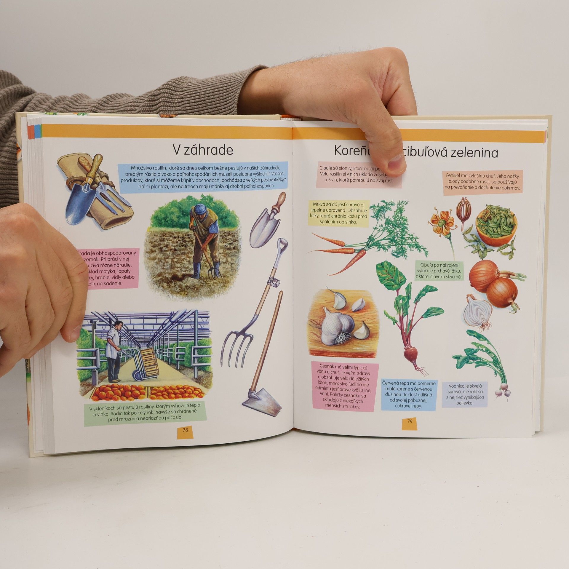 Kolektiv autorů Farma. Ilustrovaná encyklopédia pre deti