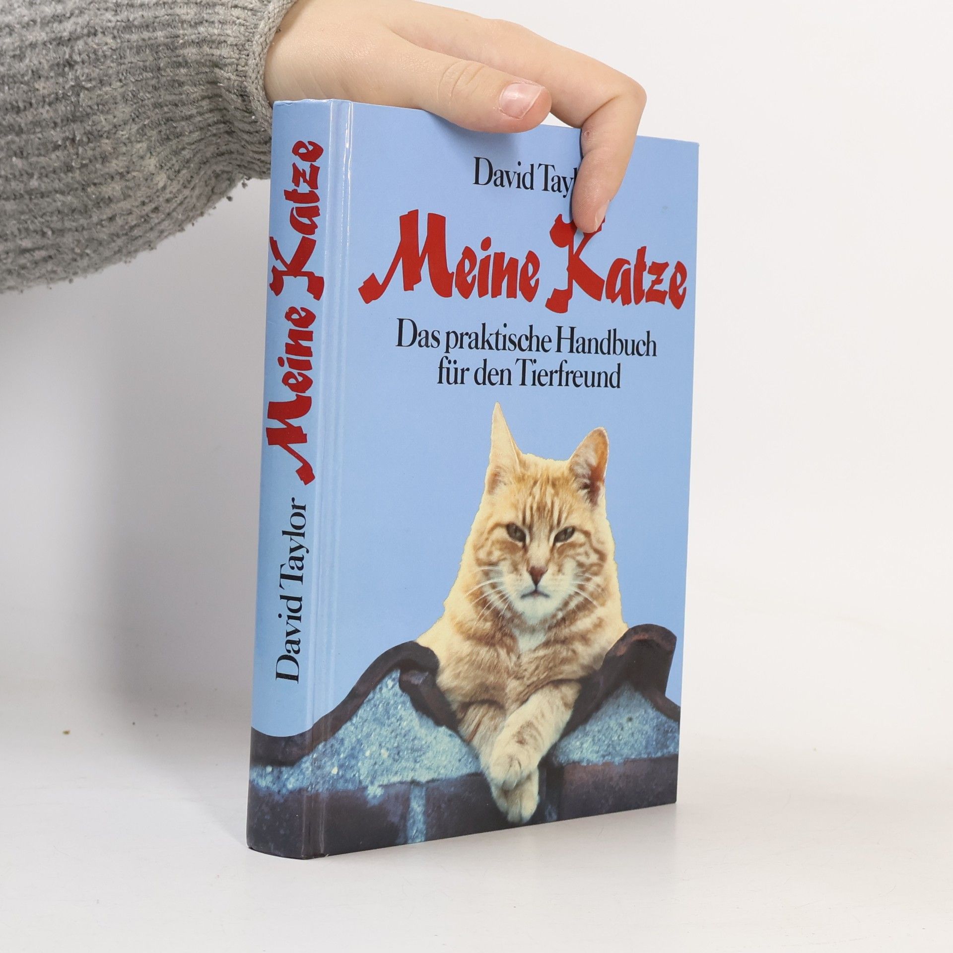Meine Katze