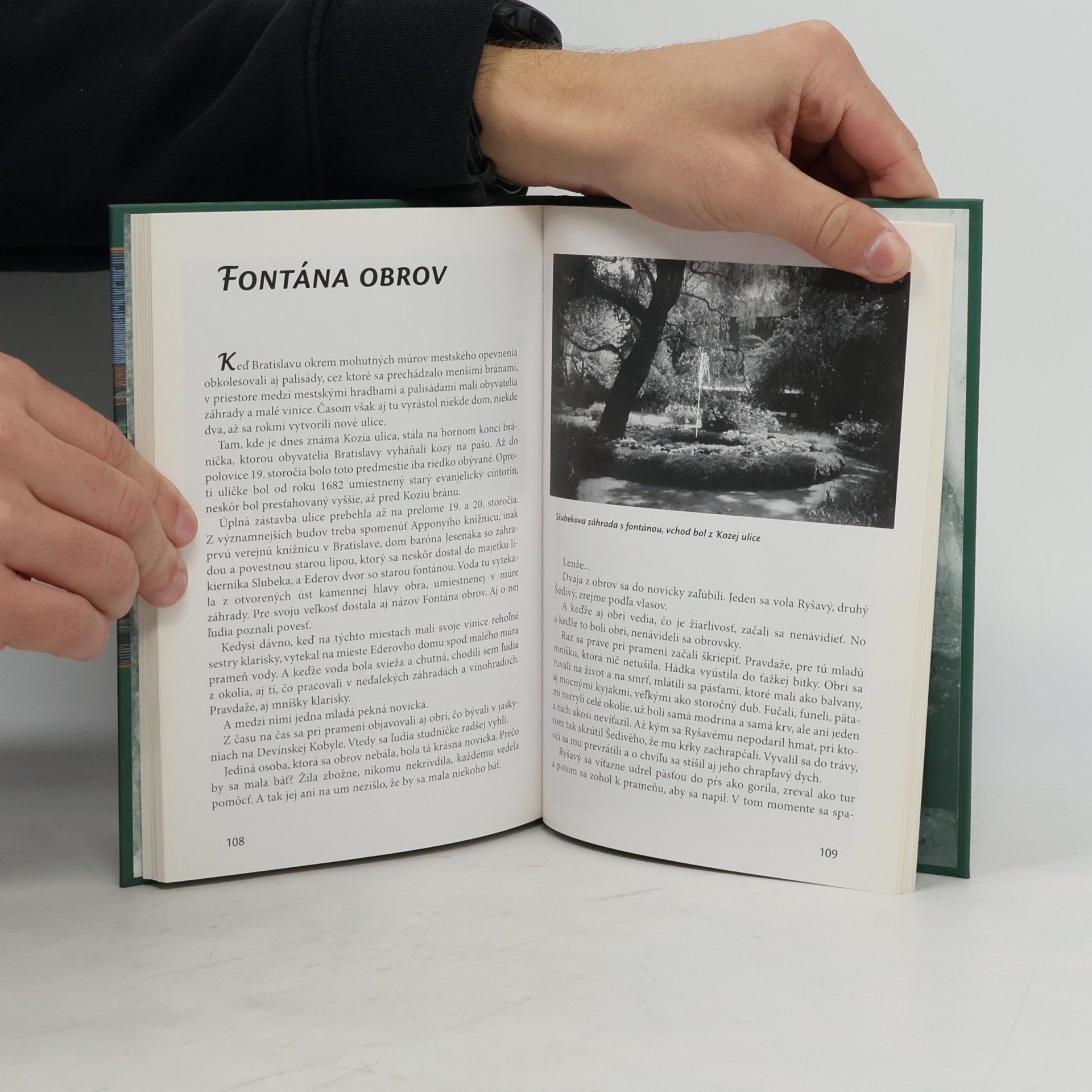 Igor Janota Príbehy bratislavských fontán a studní