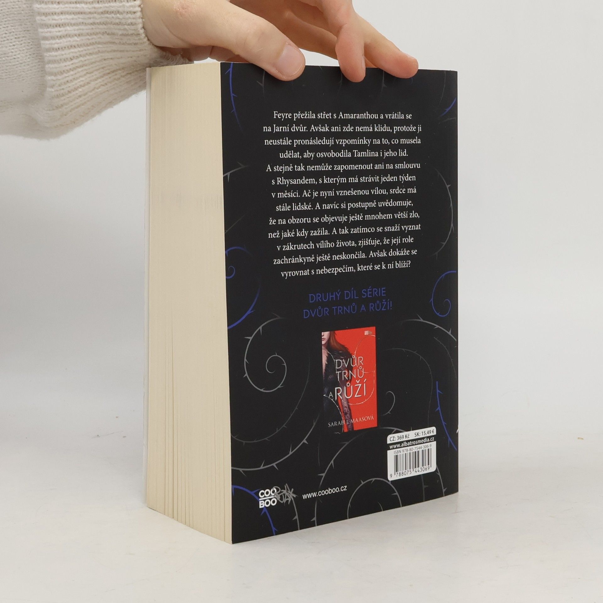 Sarah J. Maas Dvůr mlhy a hněvu