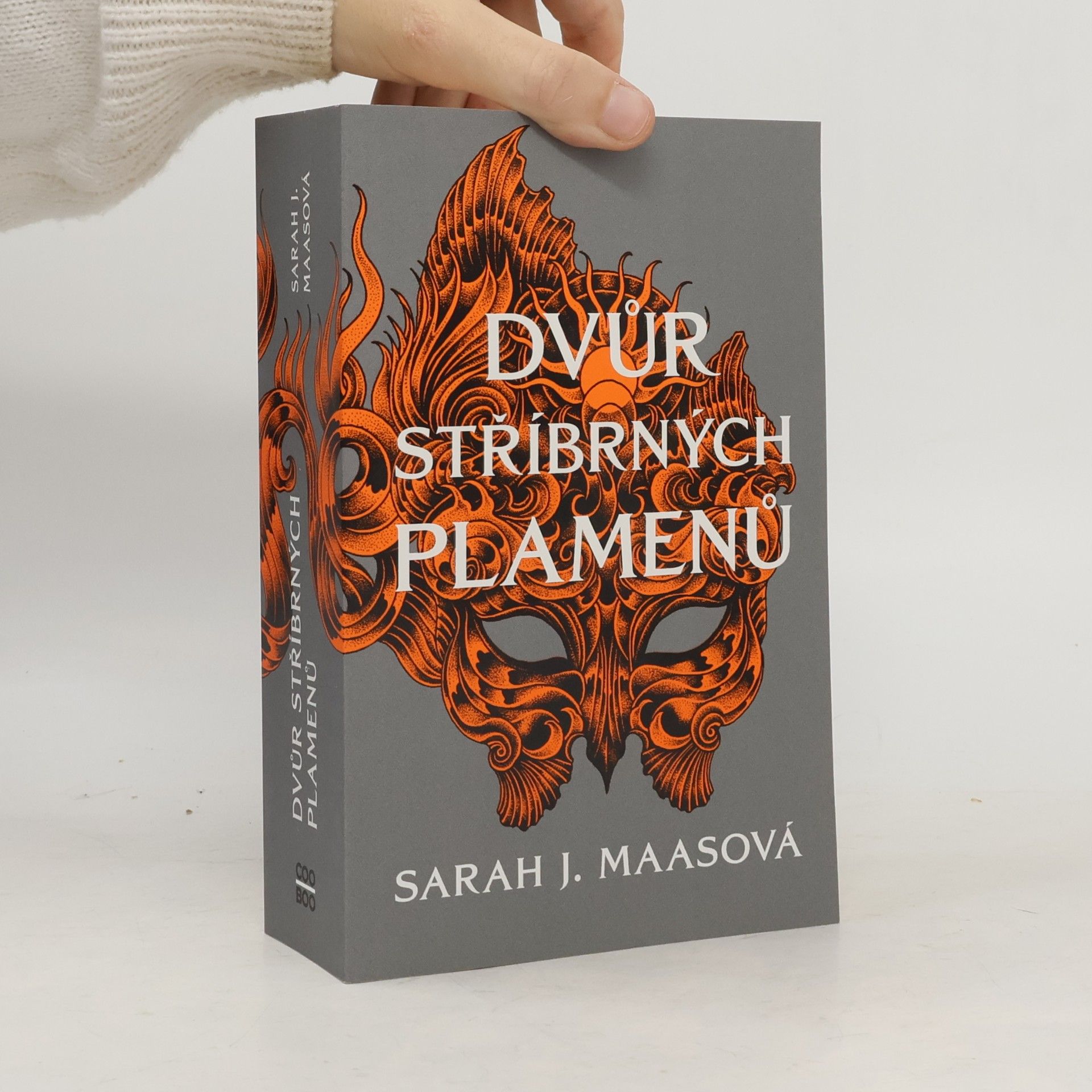 Dvůr stříbrných plamenů