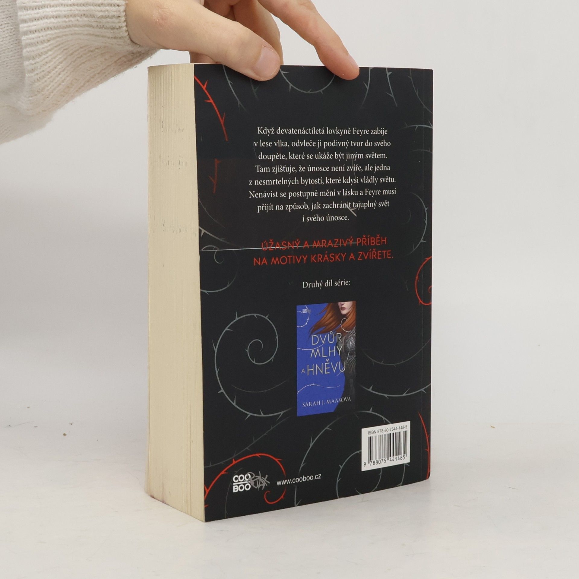 Sarah J. Maas Dvůr trnů a růží