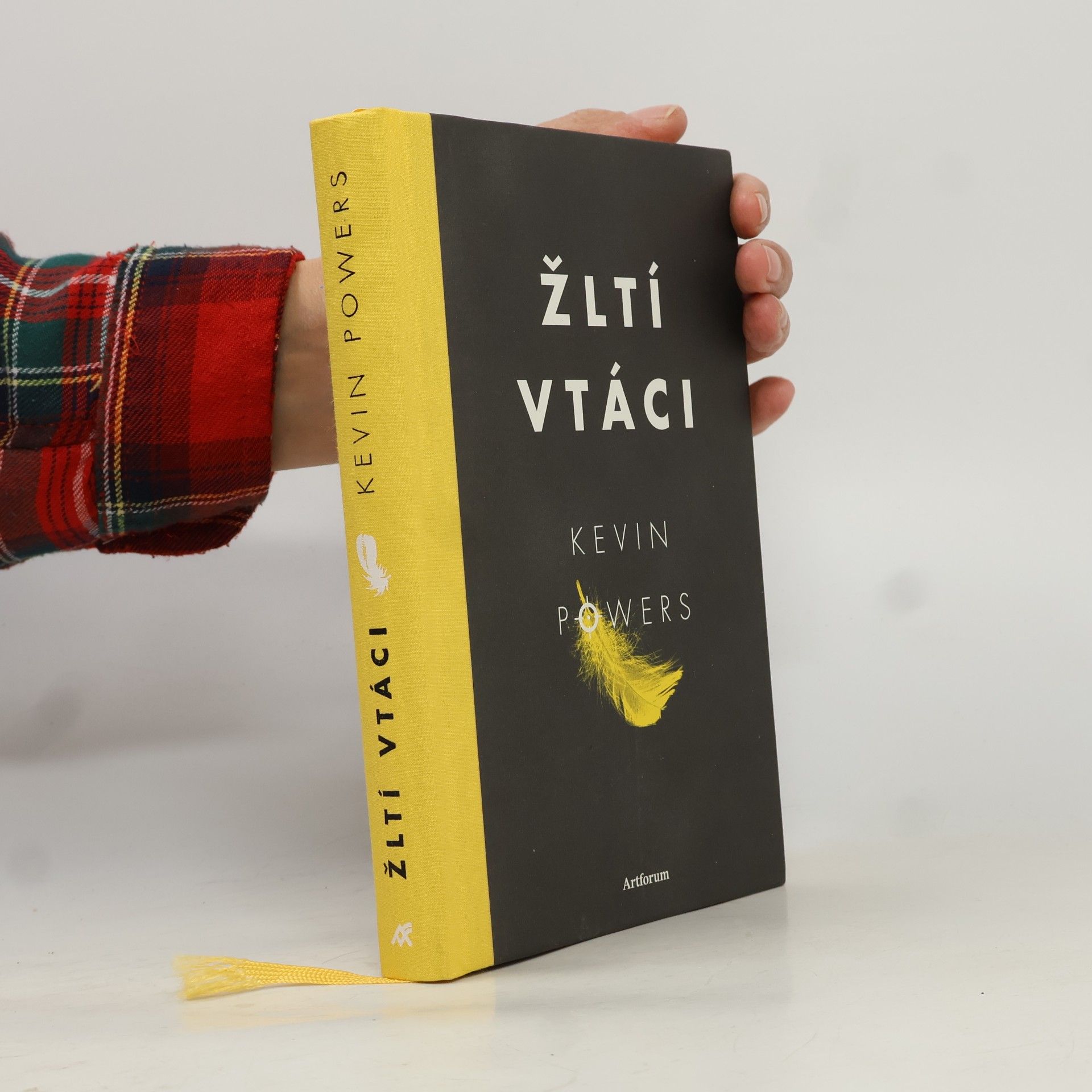 Kevin Powers Žltí vtáci