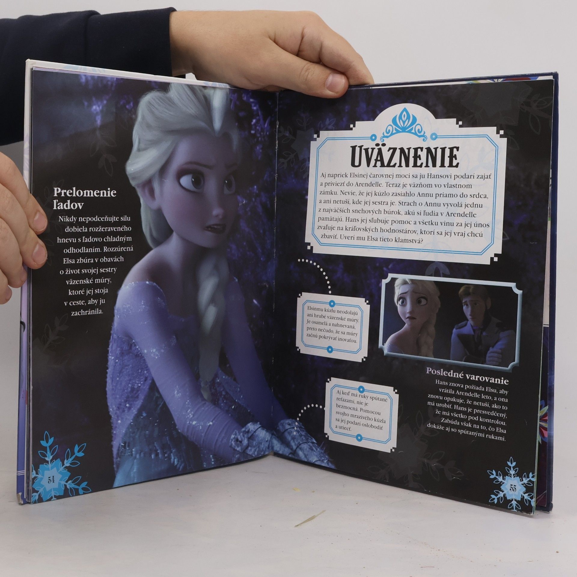 Barbara Bazaldua Frozen. Slovensky Ľadové kráľovstvo : obrazový sprievodca