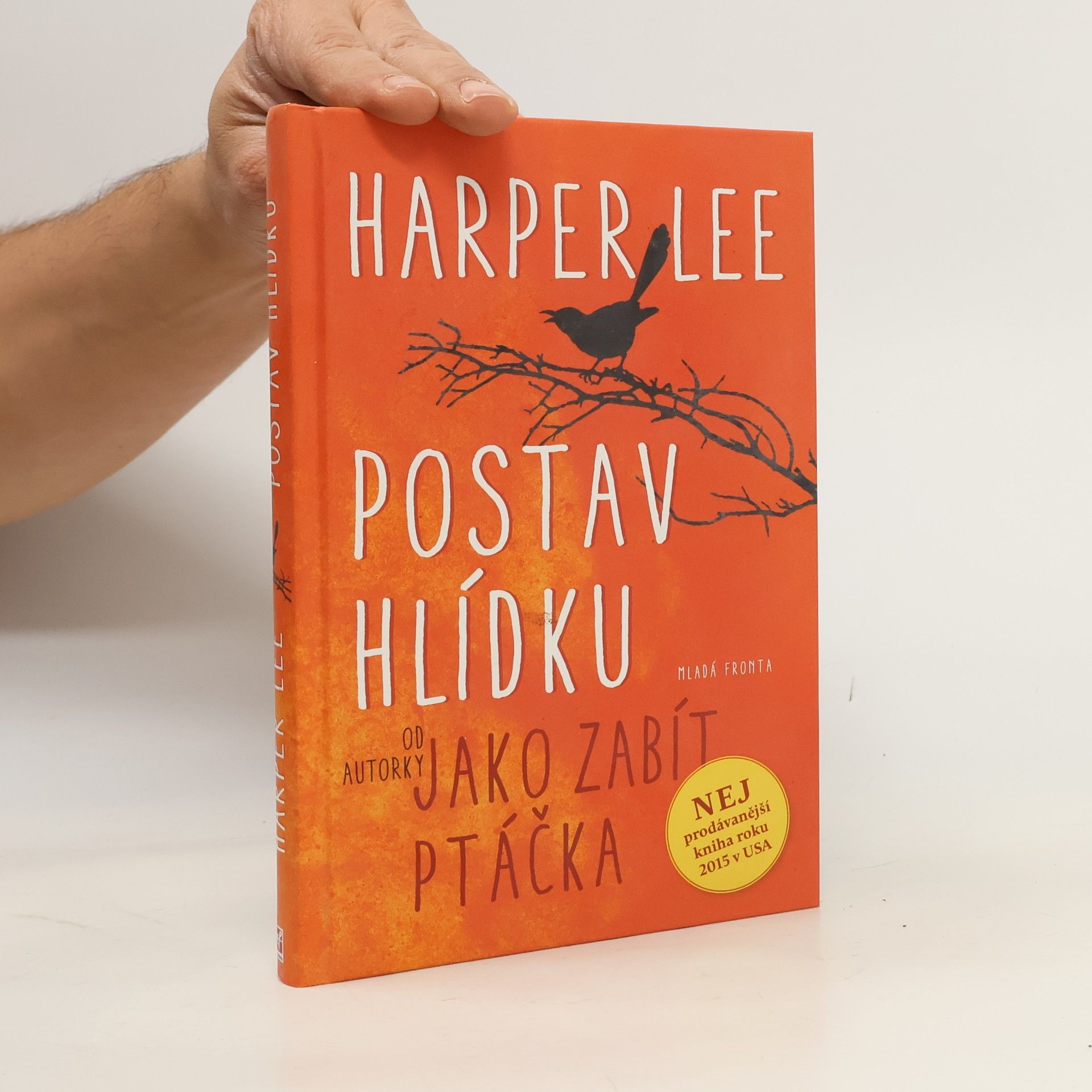 Postav hlídku