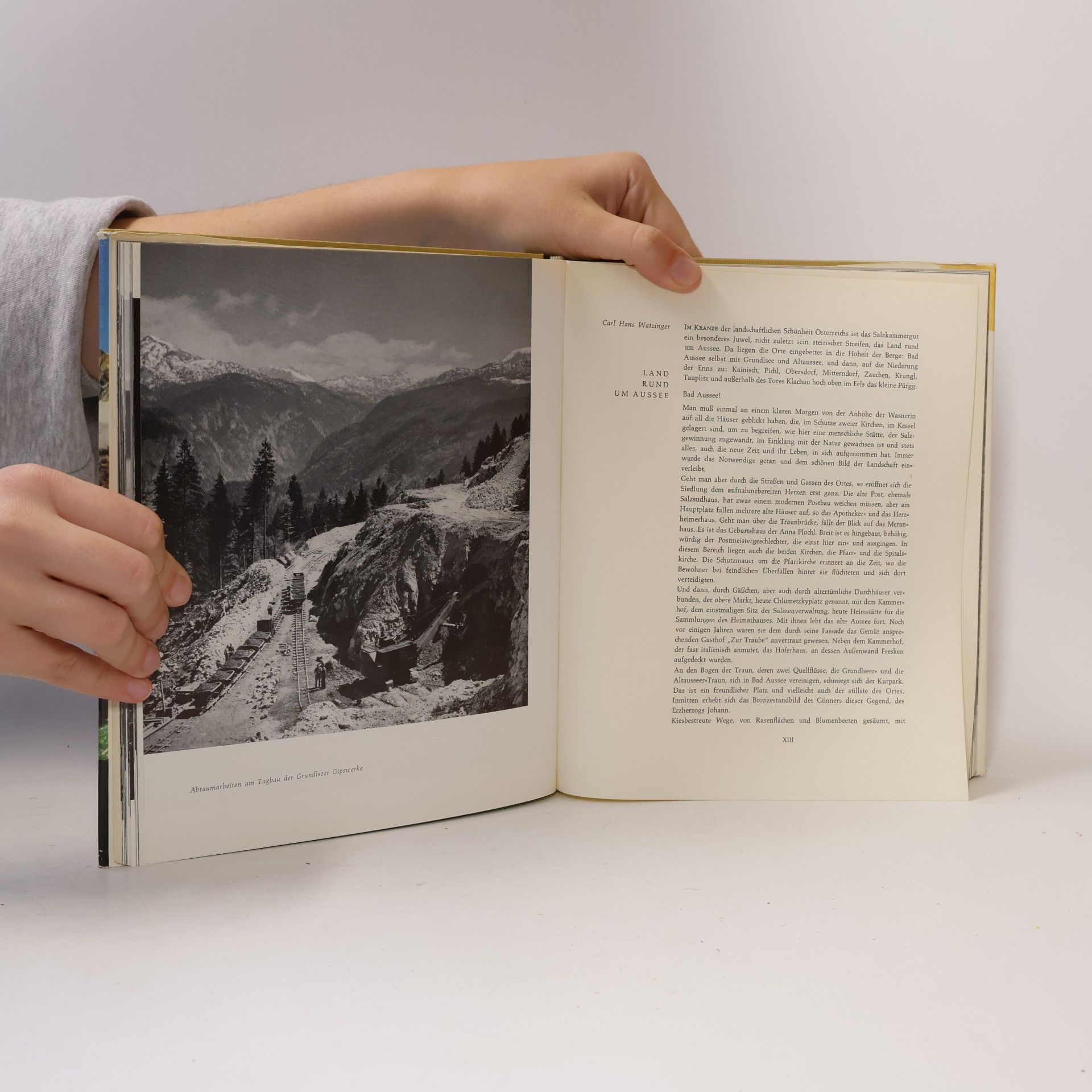 Albert Rastl Ausseer-Land mit Dachstein