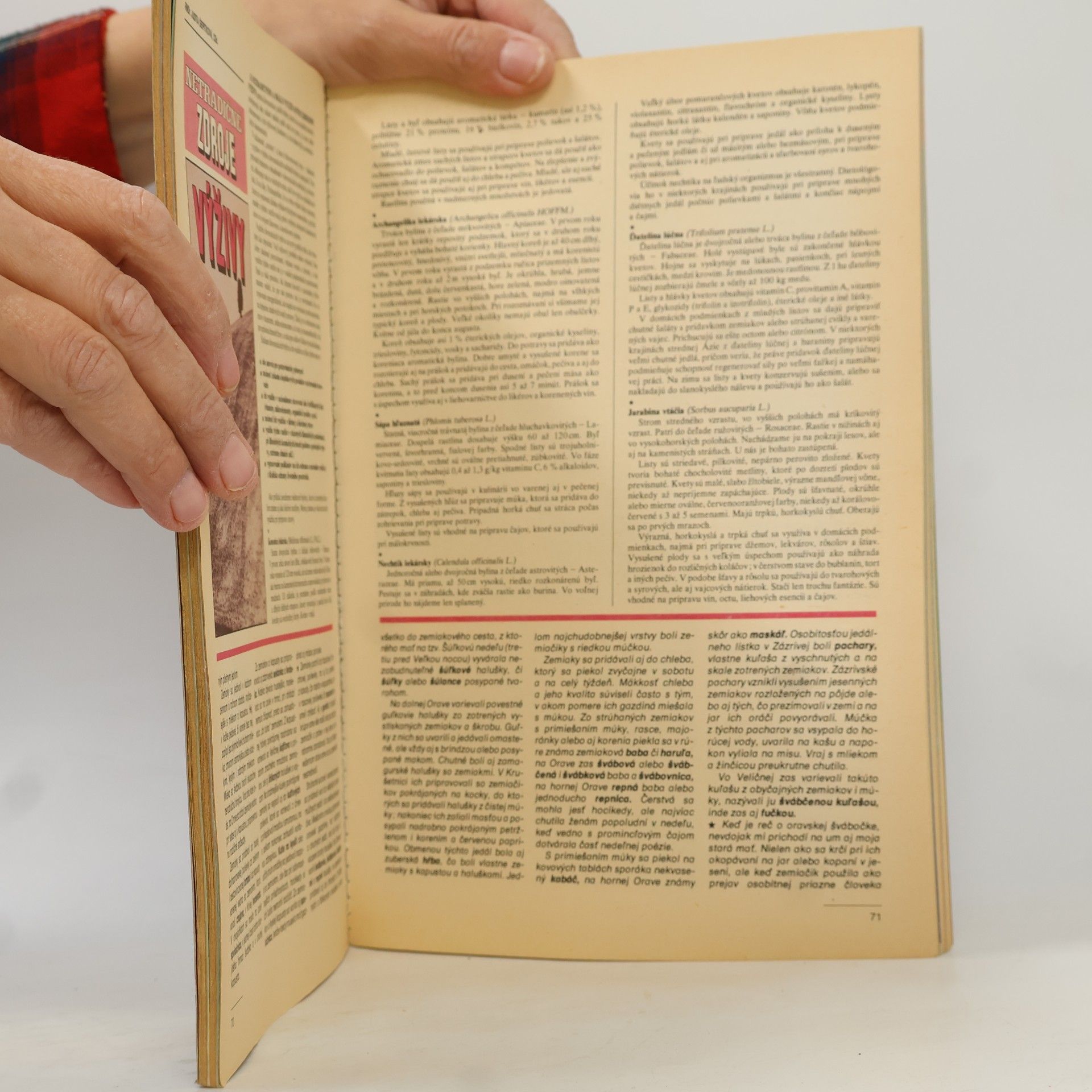 Kolektiv autorů Čitanie o správnej výžive '87