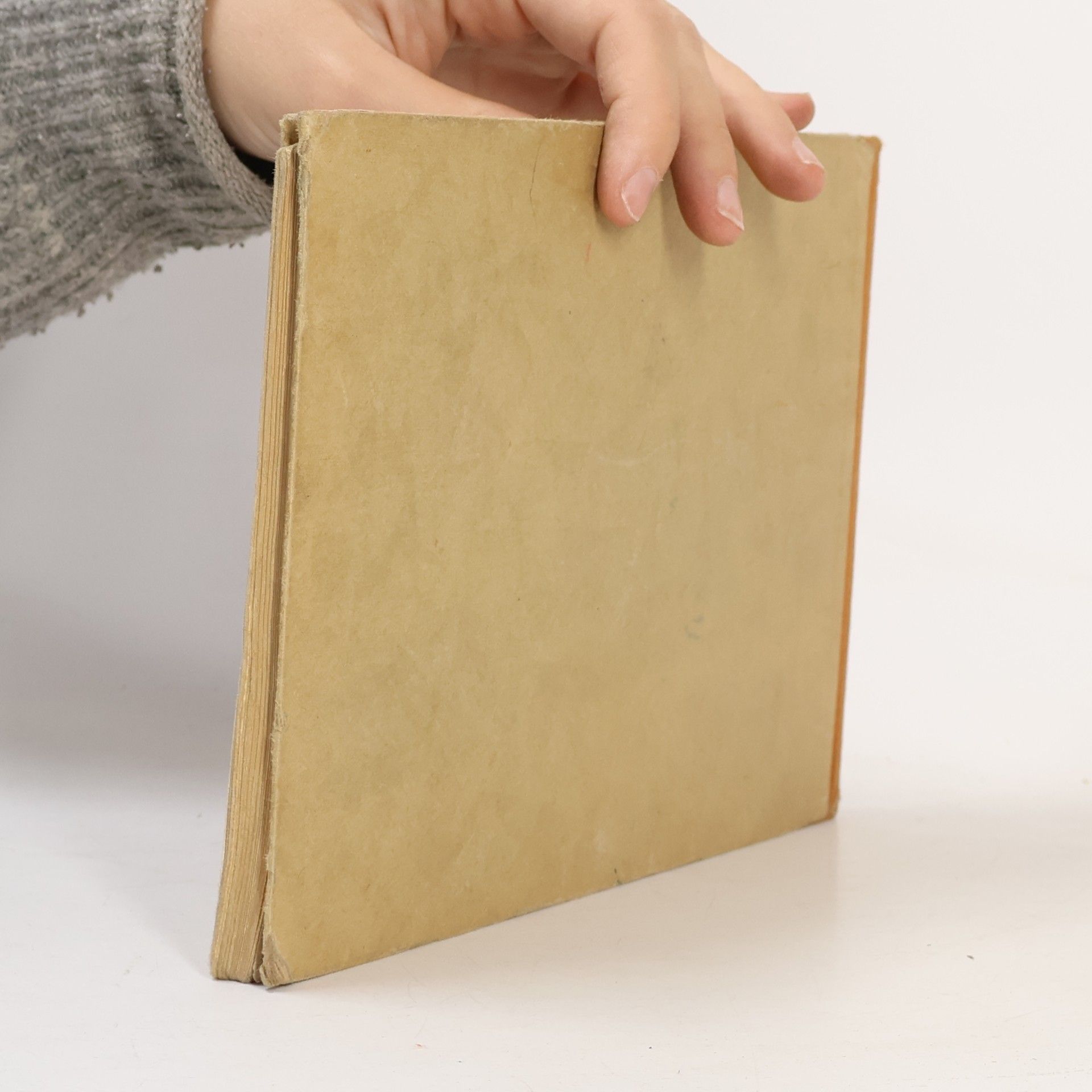 V. Goller  Mein Österreich Liederbuch 2