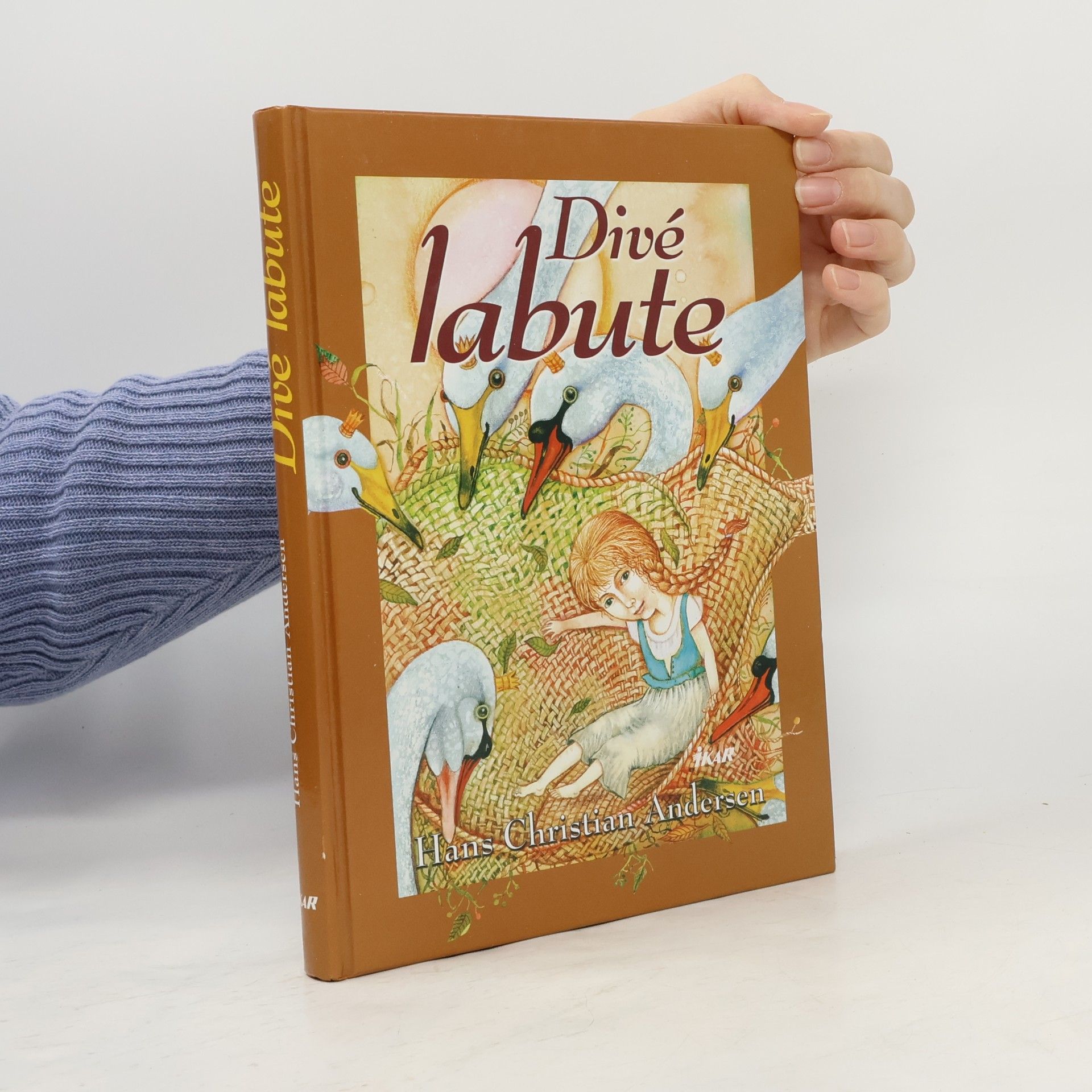 Divé labute