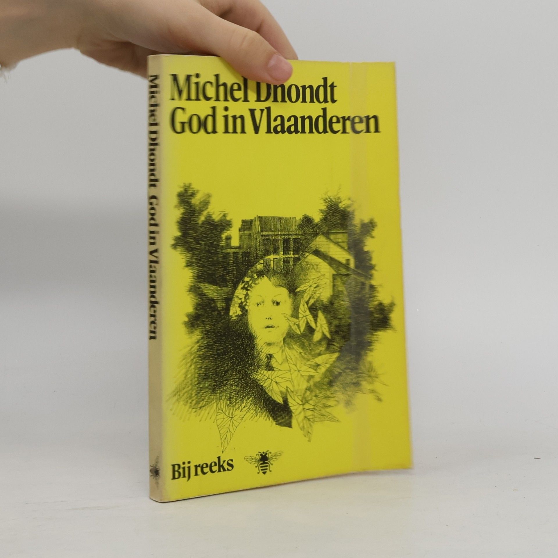Michel Dhondt God in Vlaanderen