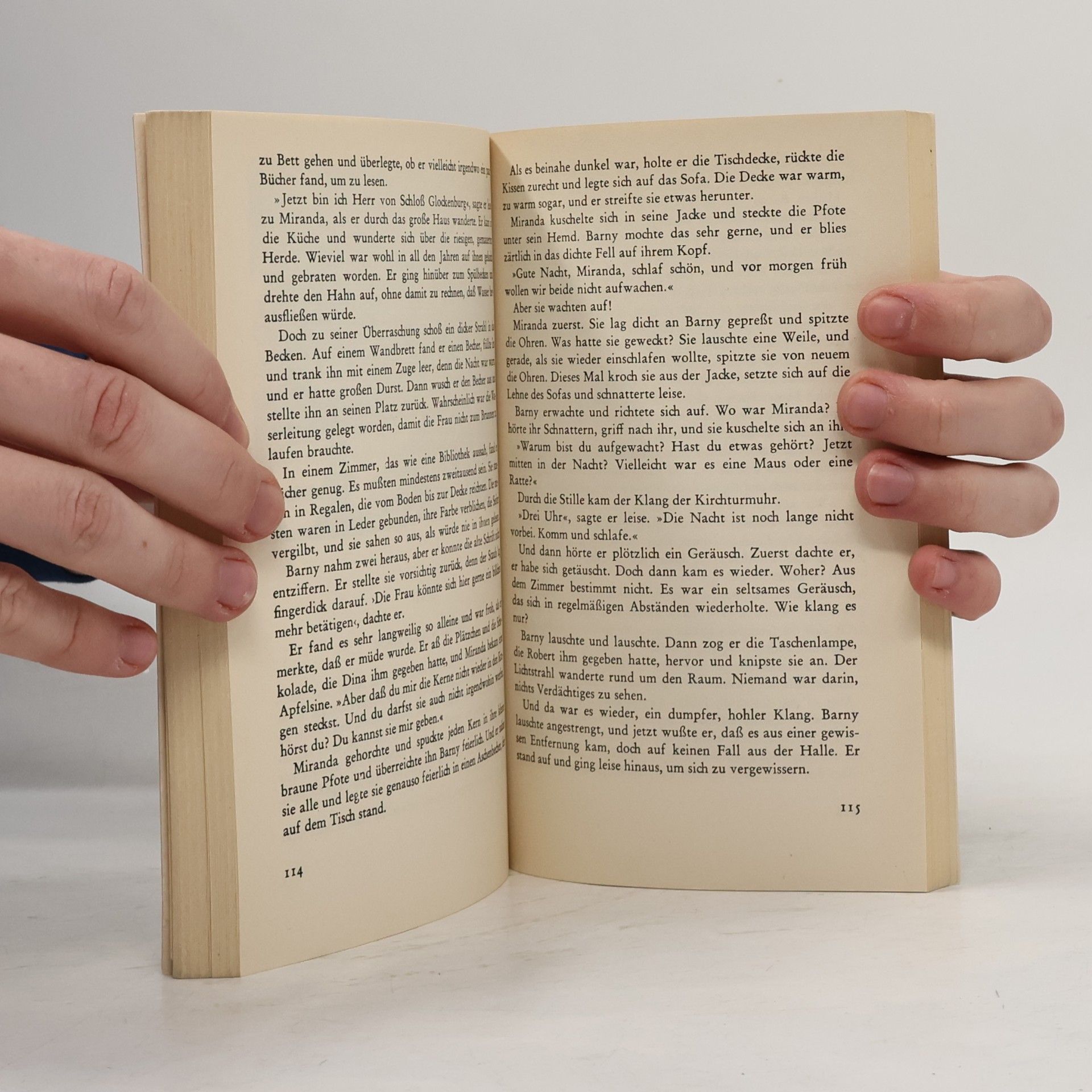 Enid Blyton Die Rätsel 3