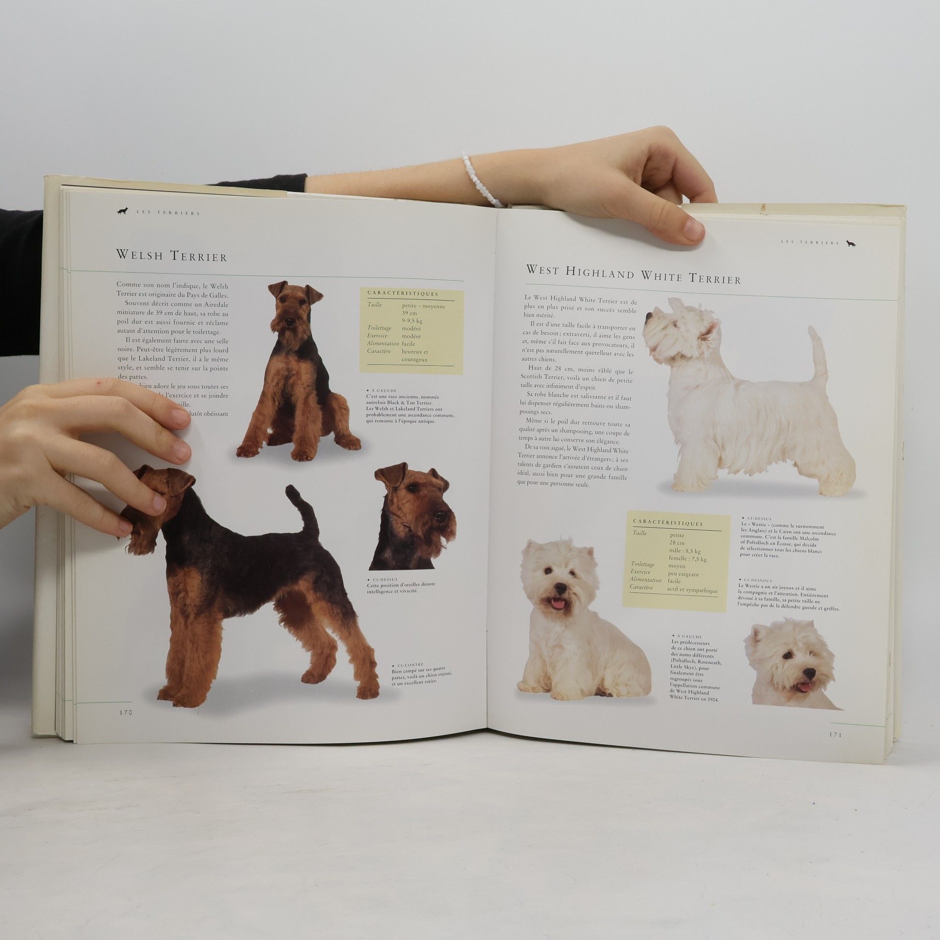 Peter Larkin Le Grand Livre des chiens