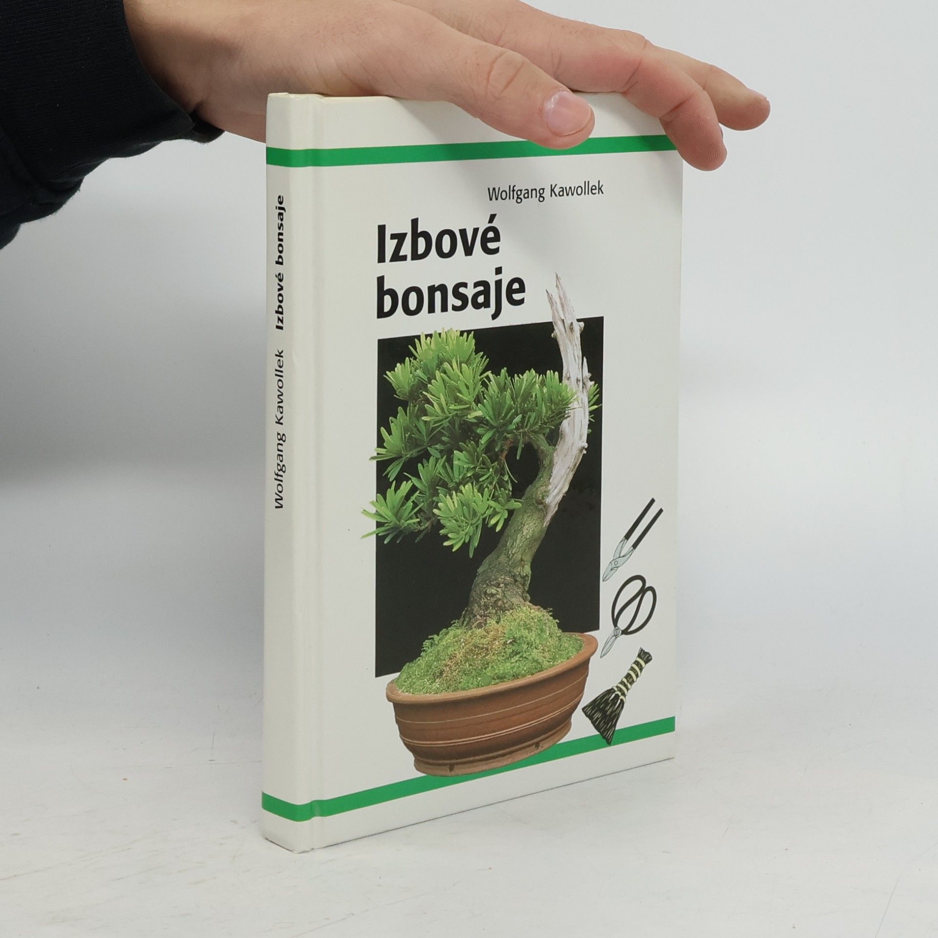 Izbové bonsaje