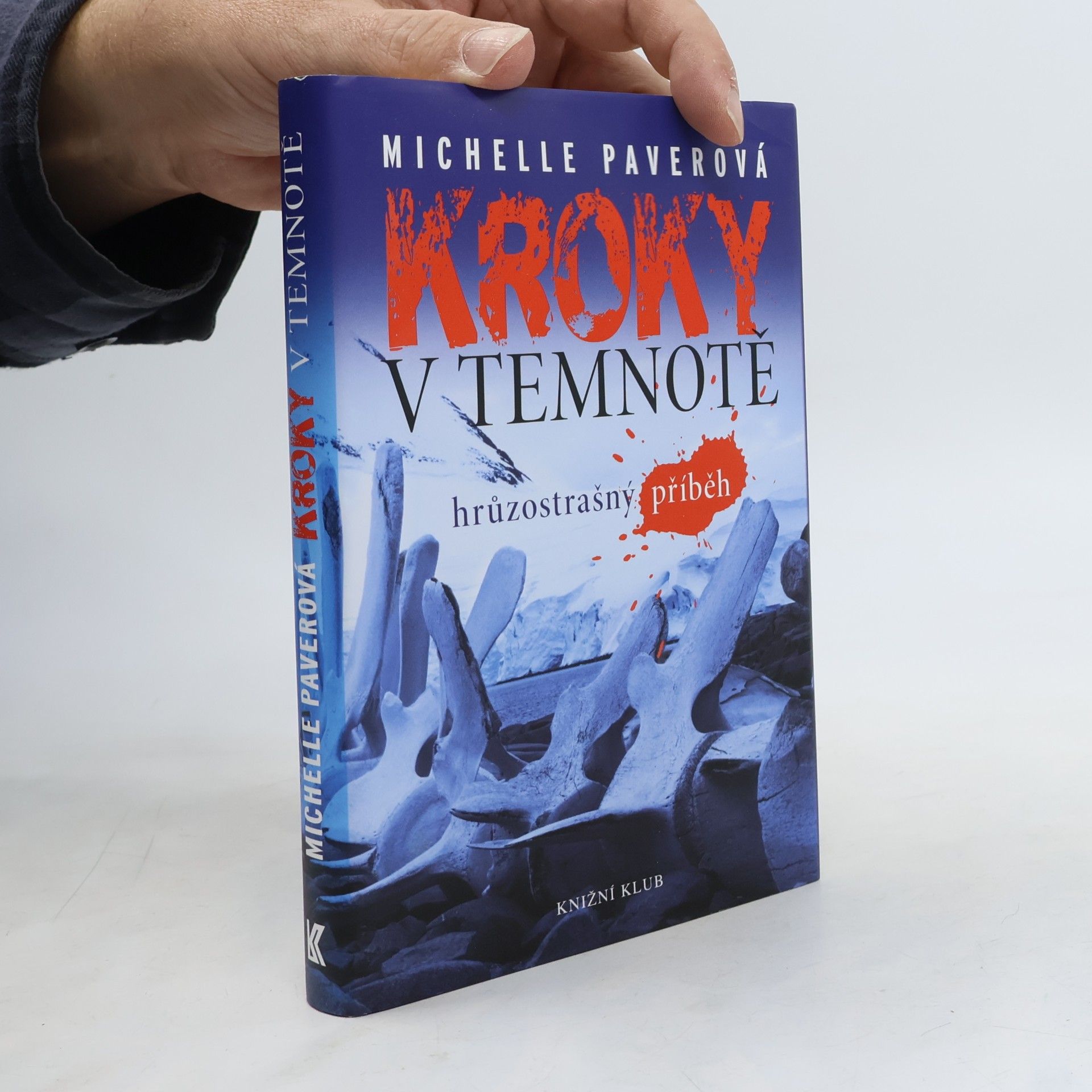 Kroky v temnotě. Hrůzostrašný příběh