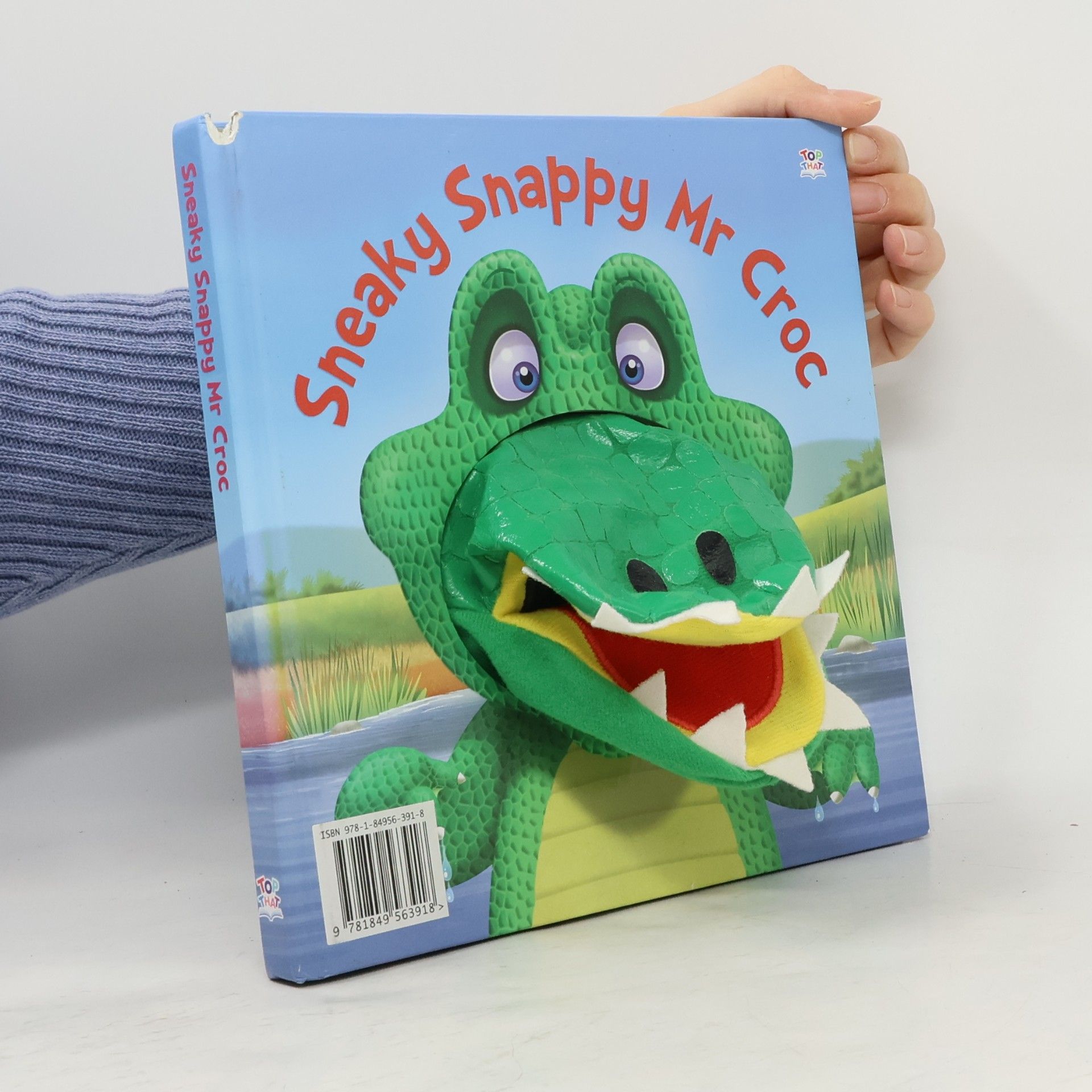 Sneaky Snappy Mr Croc