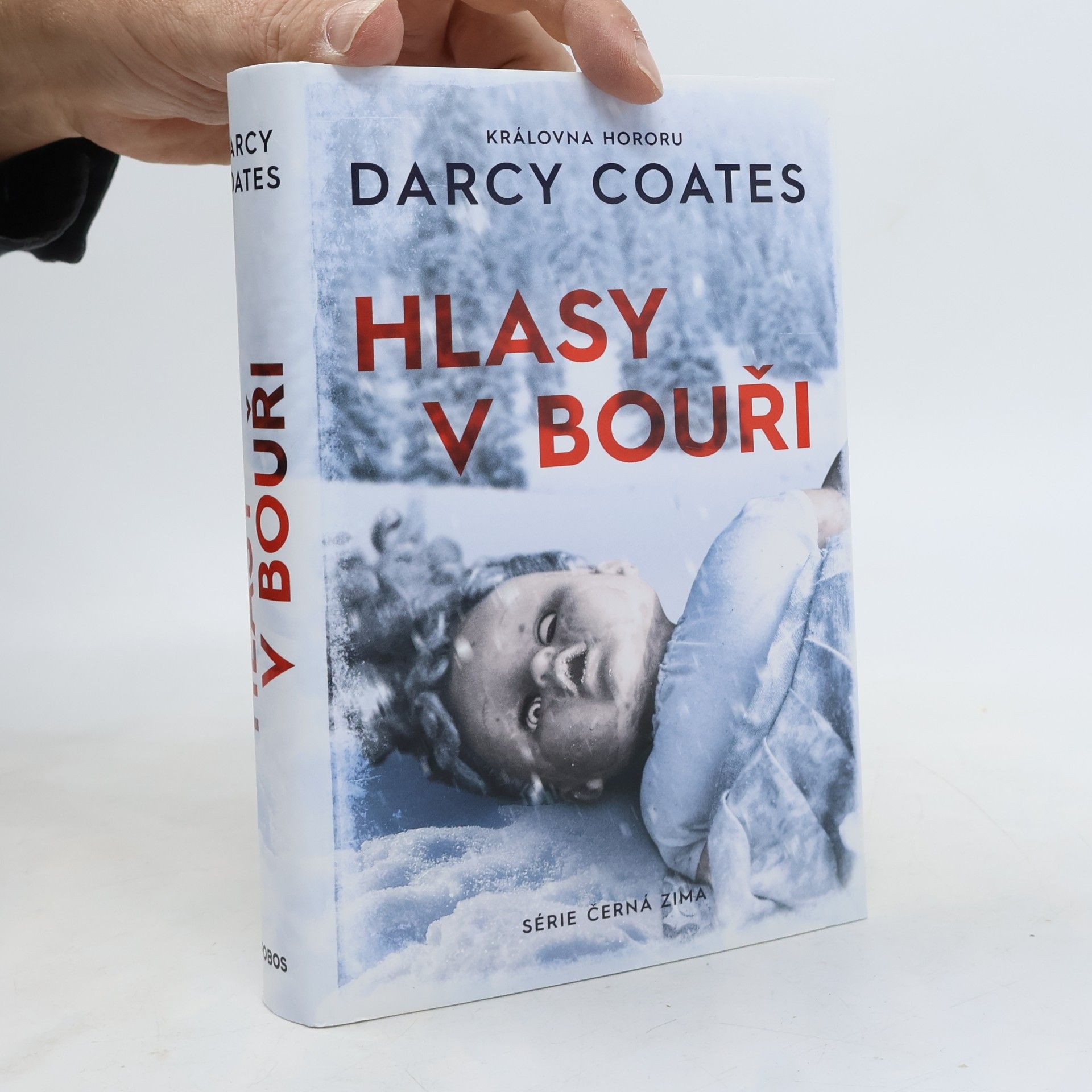 Hlasy v bouři