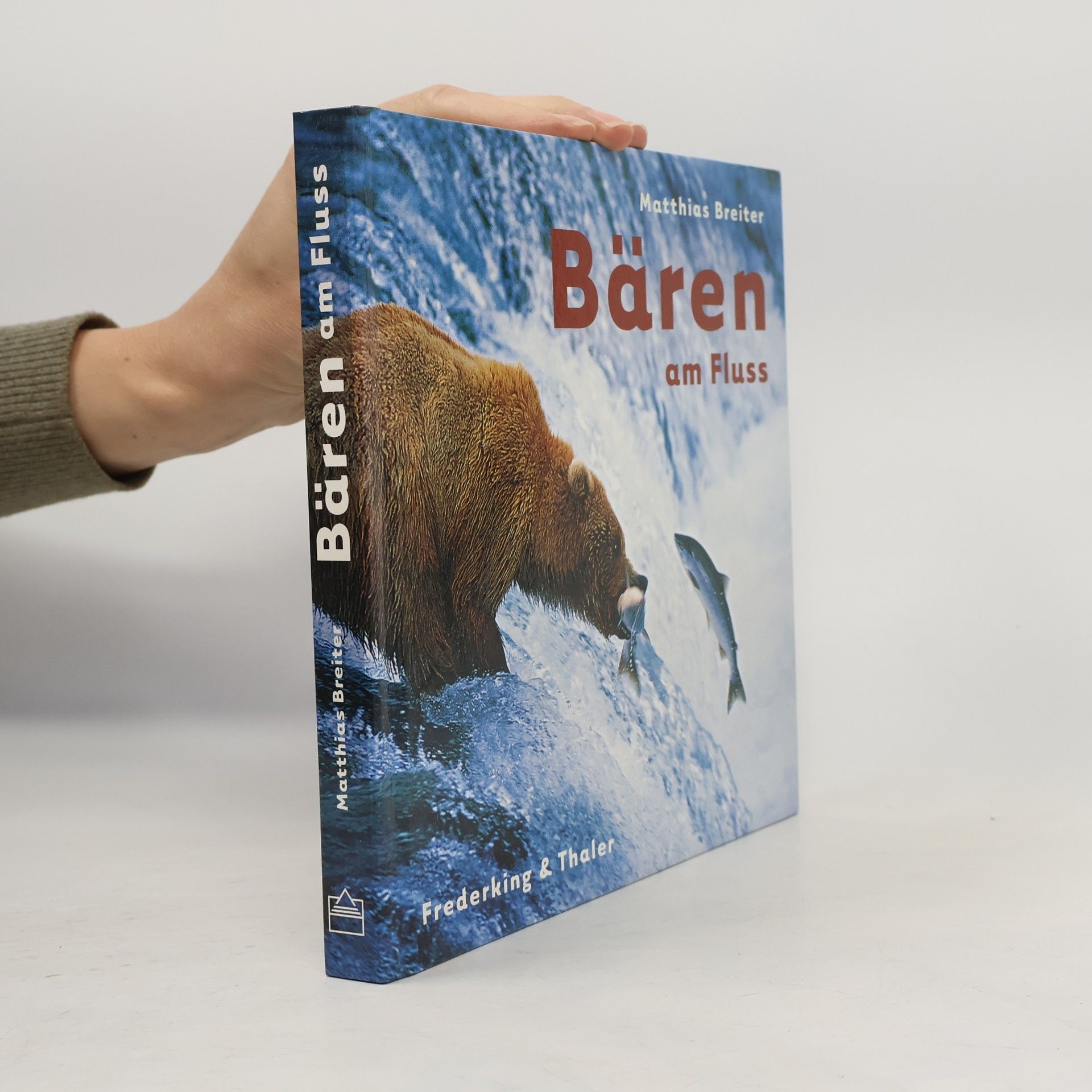 Bären am Fluss