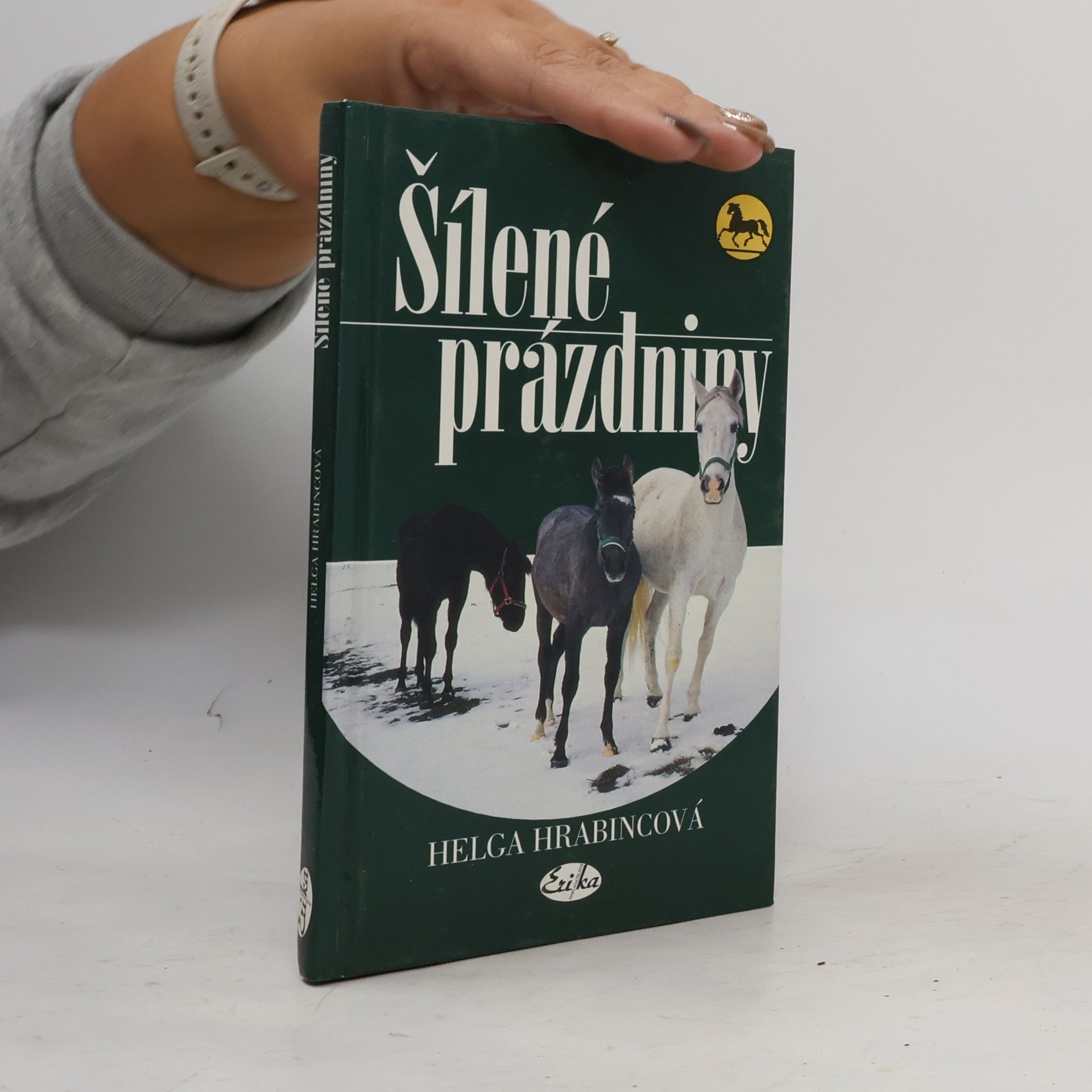 Helga Hrabincová Šílené prázdniny