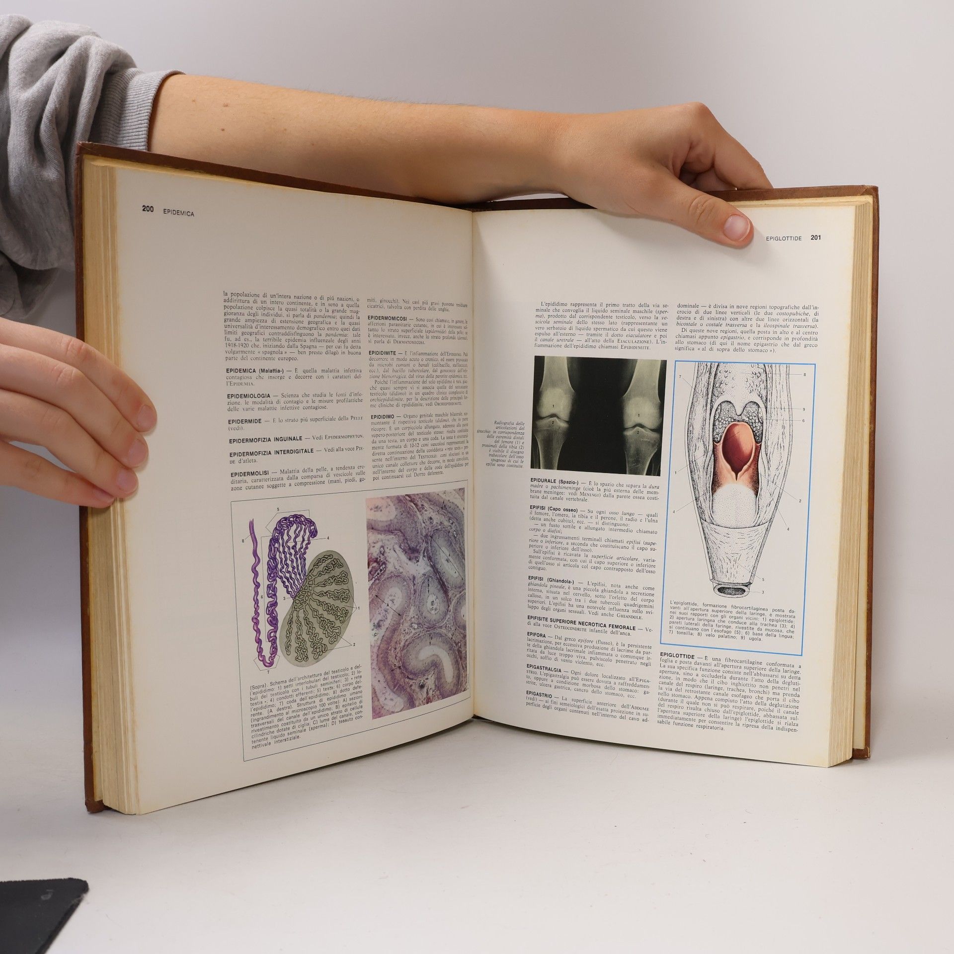 Various authors Enciclopedia JURÍDICA OMEBA