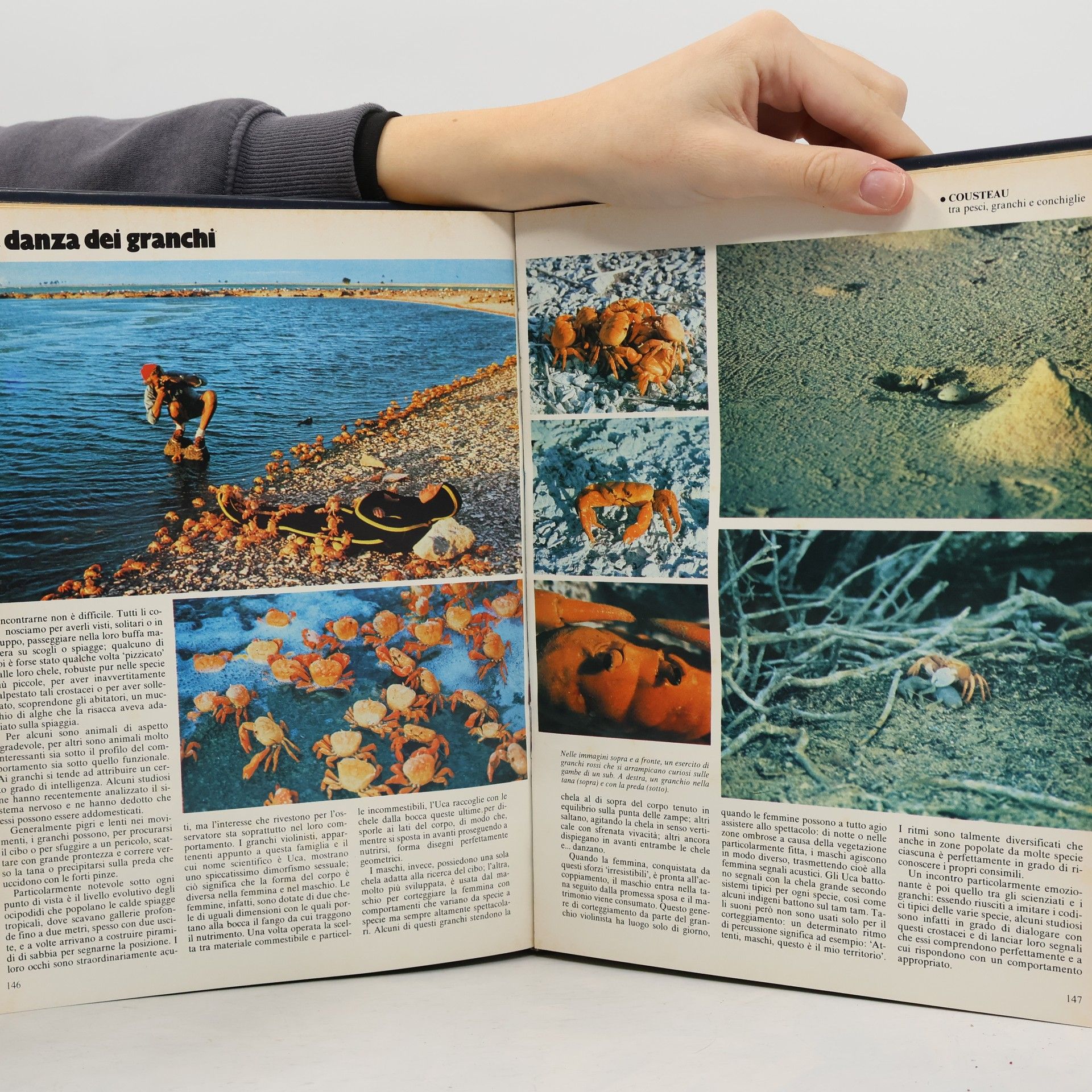 Jacques Cousteau Enciclopedia di scienza e di avventura 3