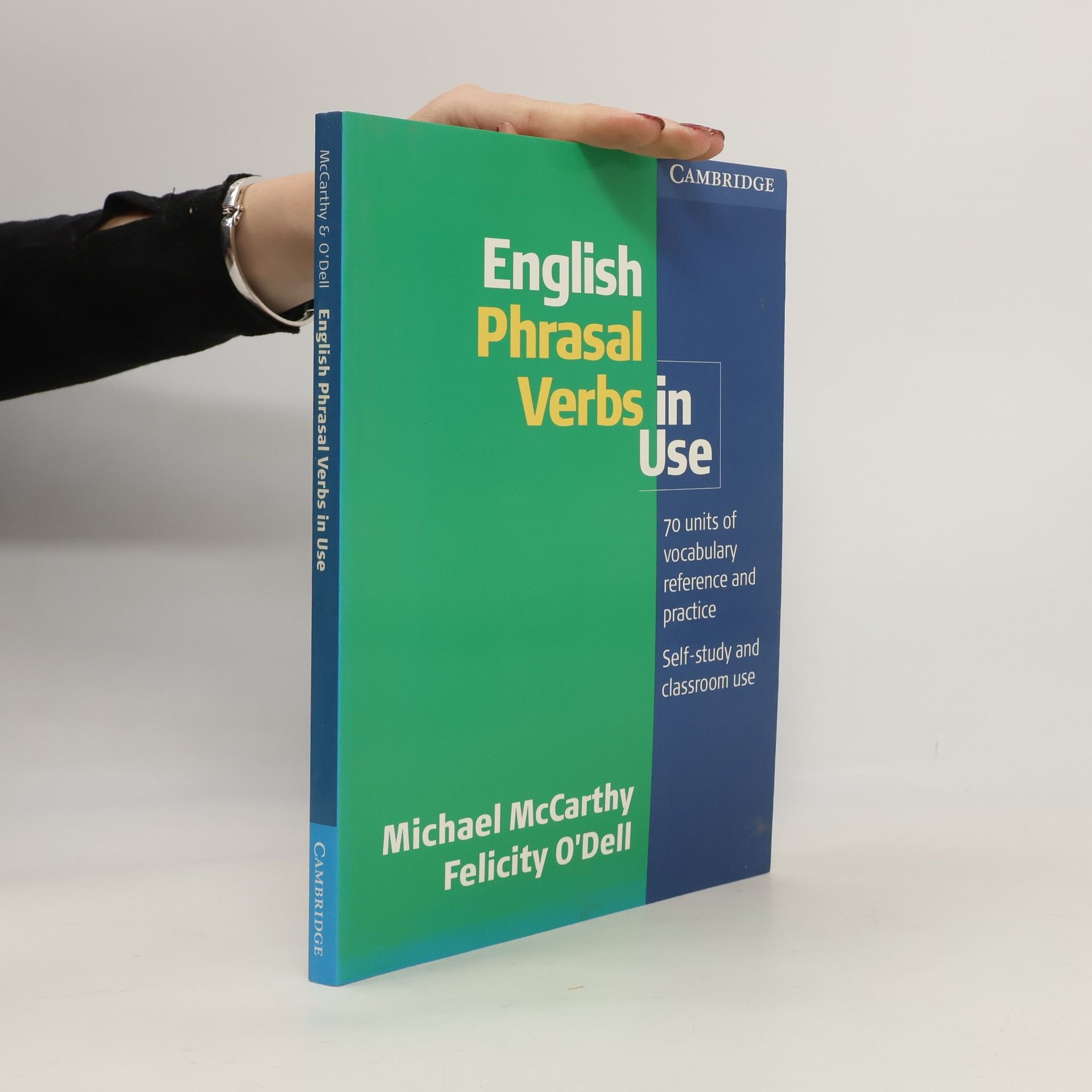 English phrasal verbs in use