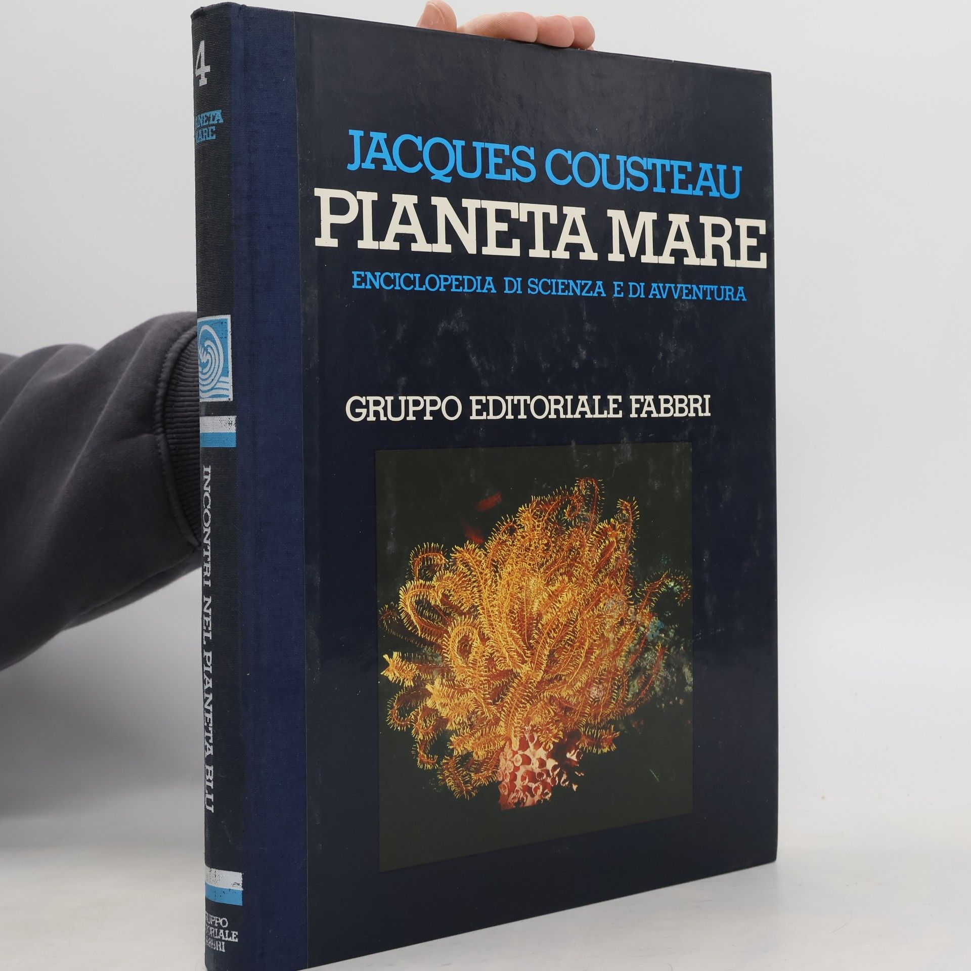 Pieneta Mare 4.