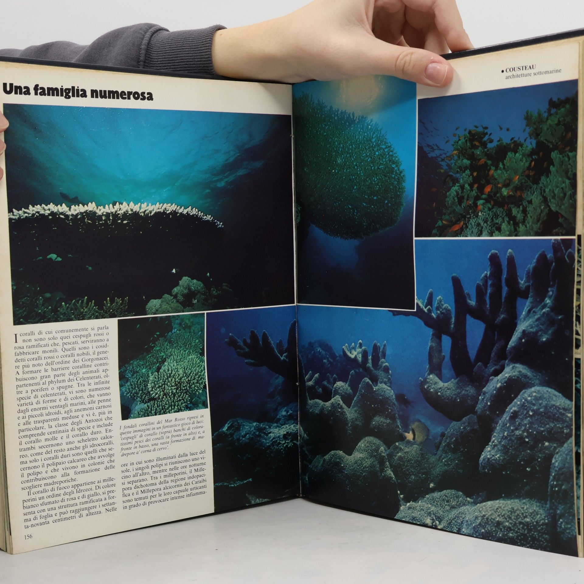 Jacques Cousteau Pieneta Mare 4.