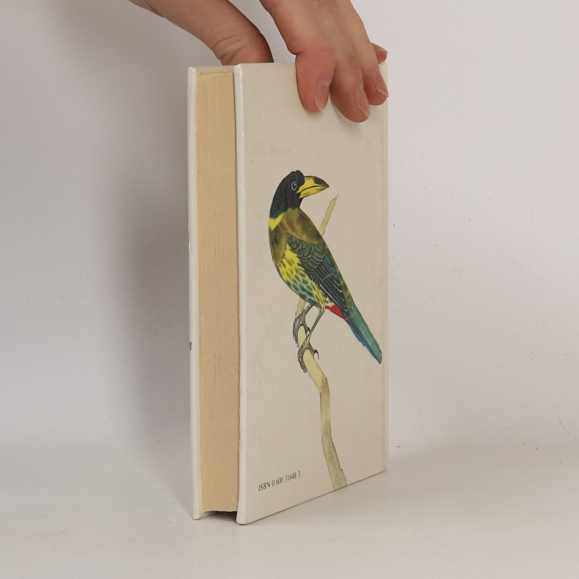 Jiří Felix Cage and Aviary Birds