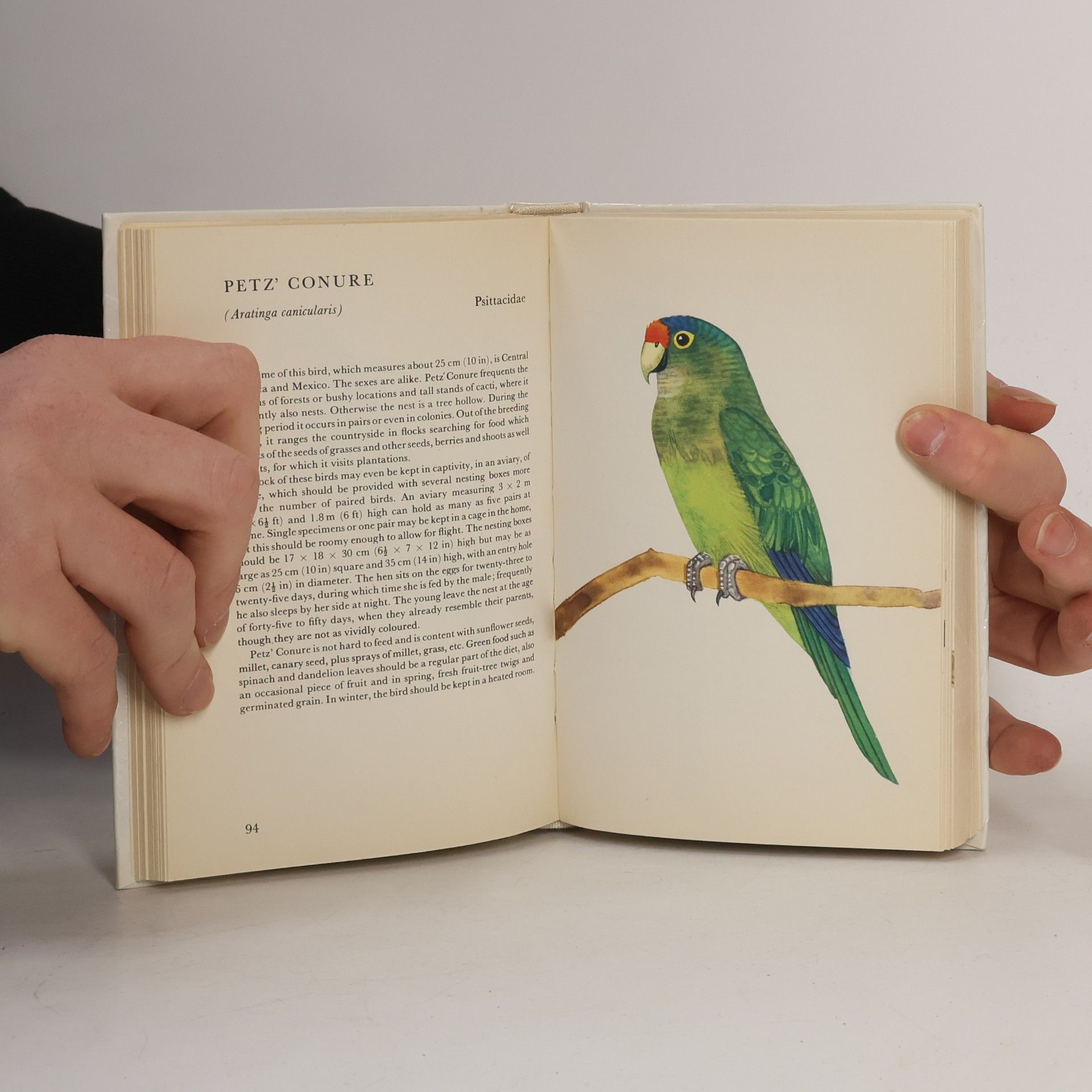 Jiří Felix Cage and Aviary Birds