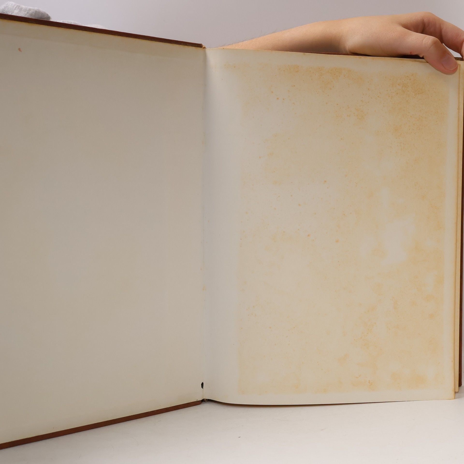 Various authors Enciclopedia MEDICA