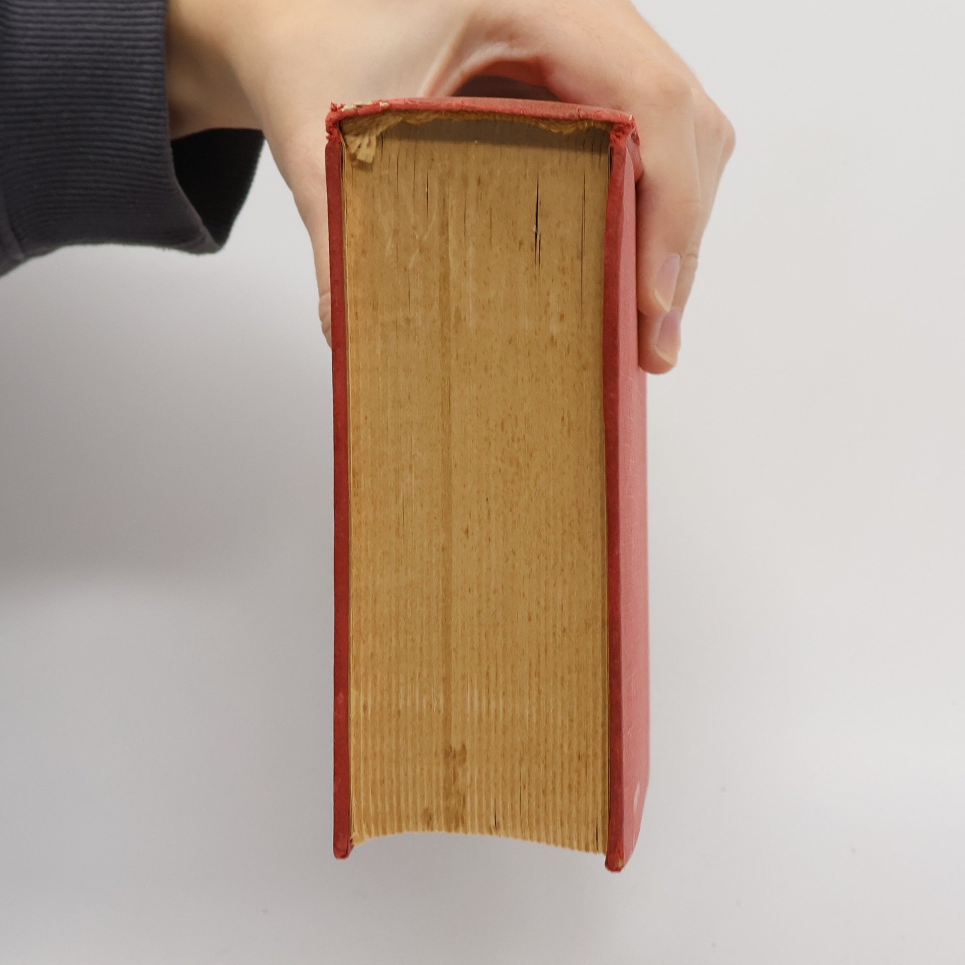 Lew Nikolajewitsch Tolstoi Teatro / Scritti autobiografici