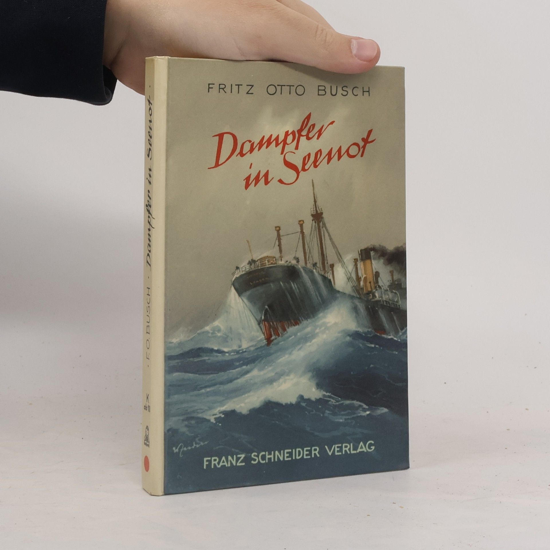 Dampfer in Seenot