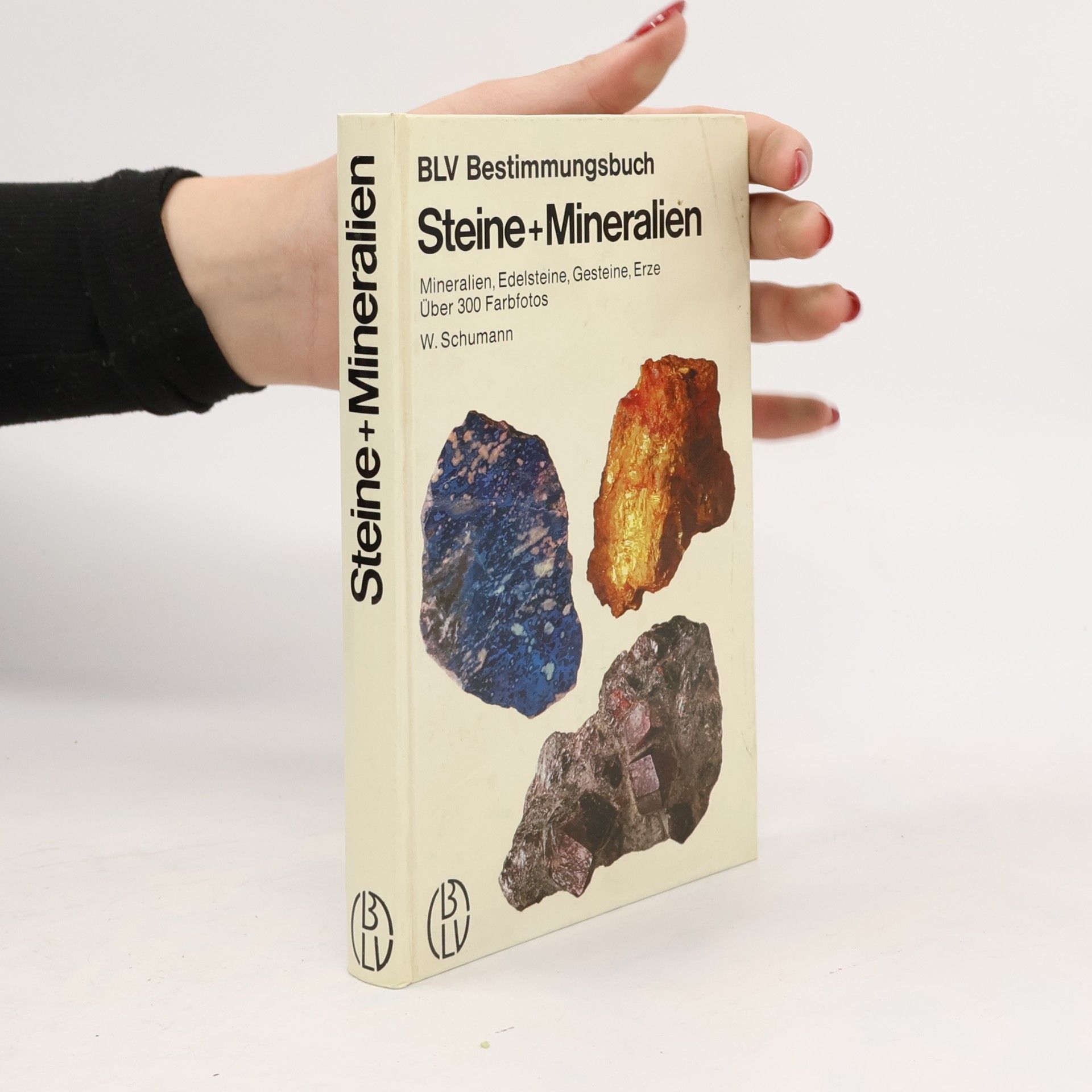 Walter Schumann Steine und Mineralien