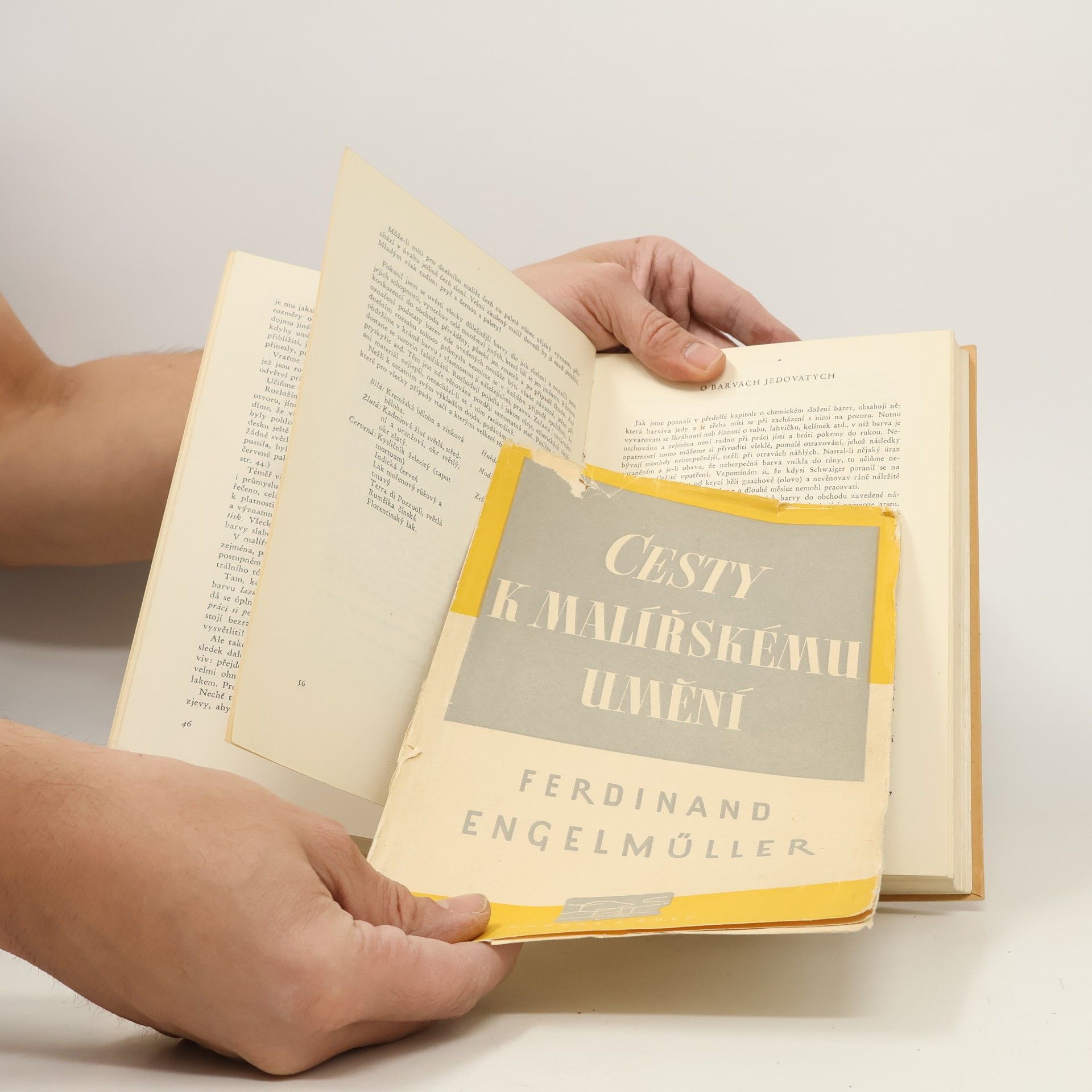 Ferdinand Engelmüller Cesty k malířskému umění