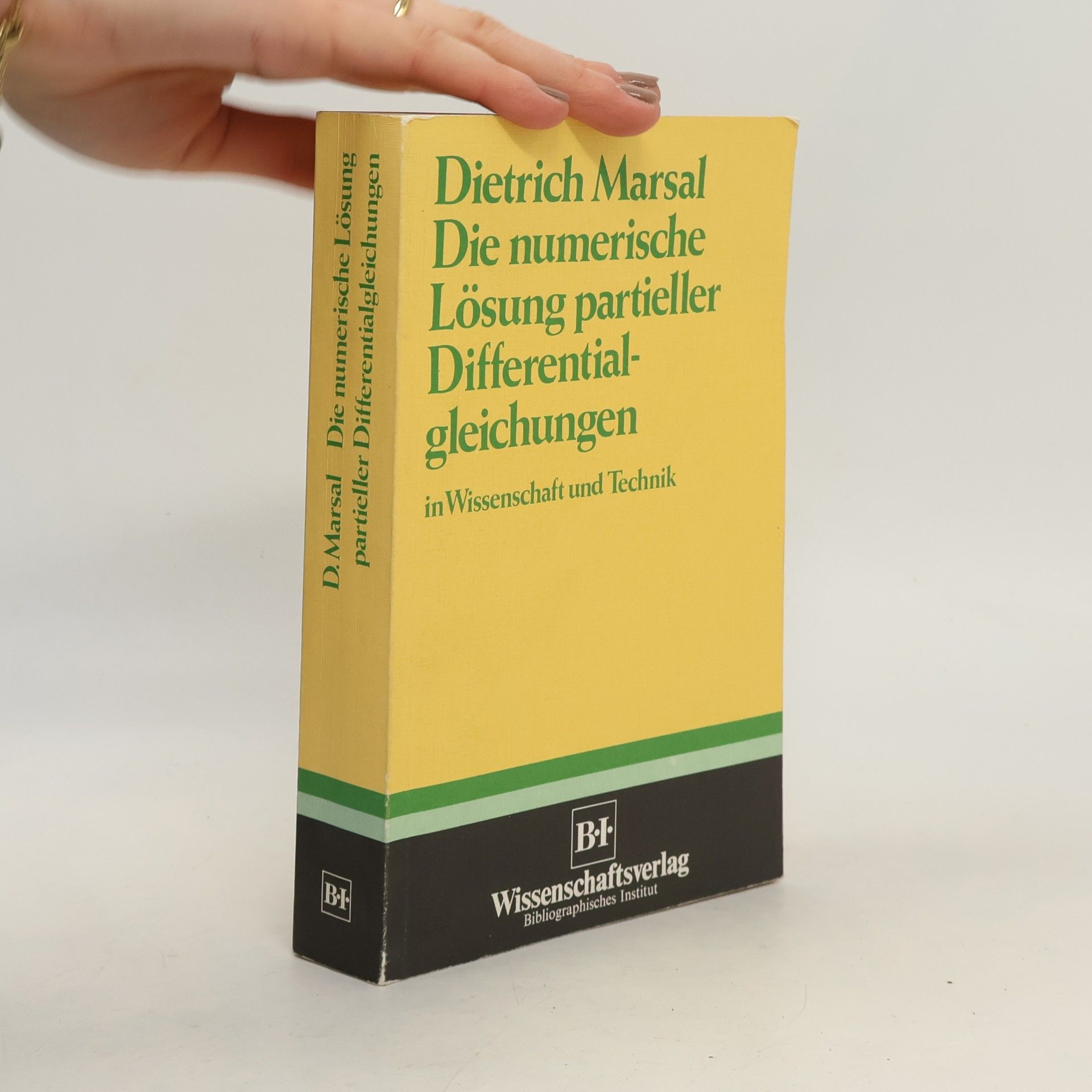 Die numerische Lösung partieller Differentialgleichungen