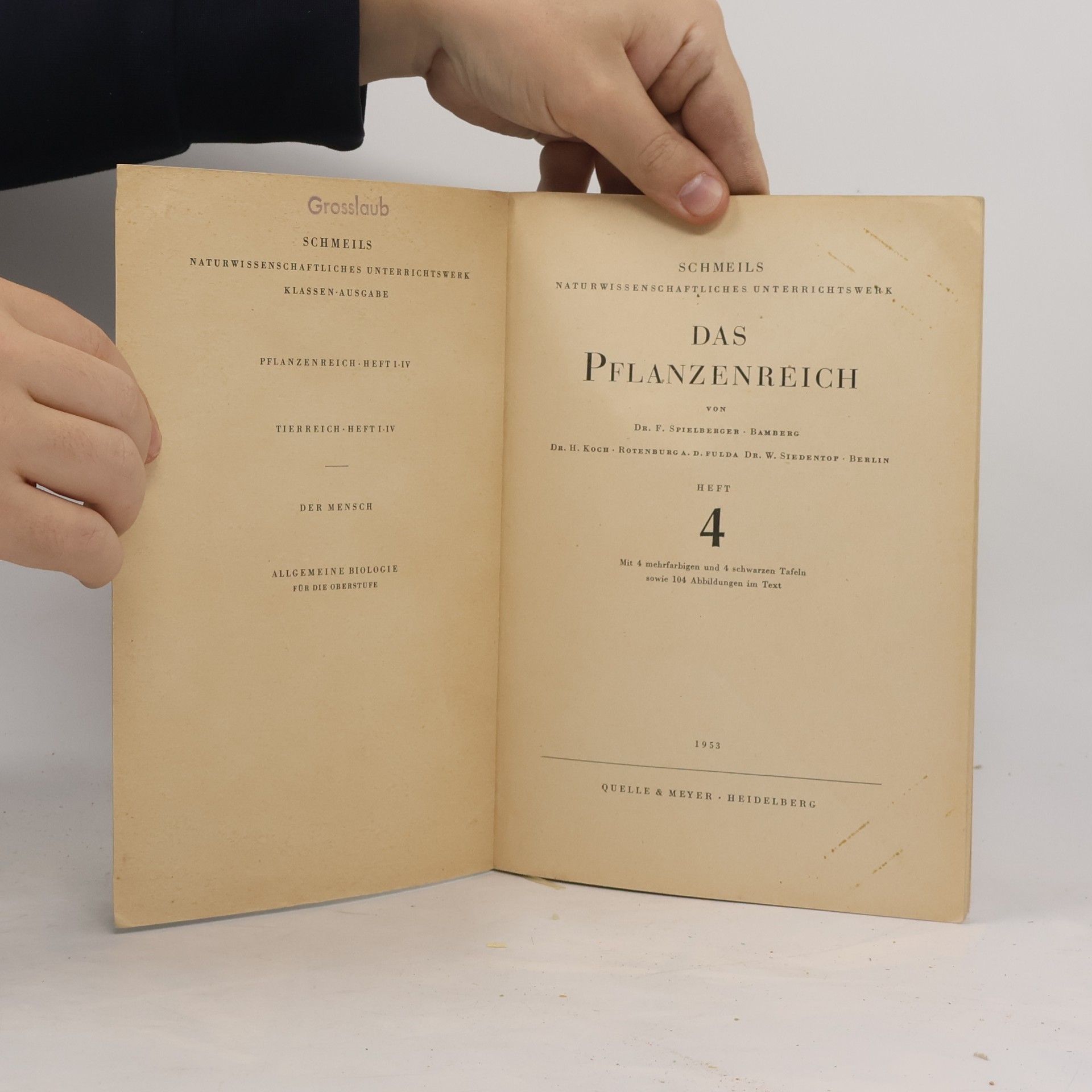 Otto Schmeil Das Pflanzenreich