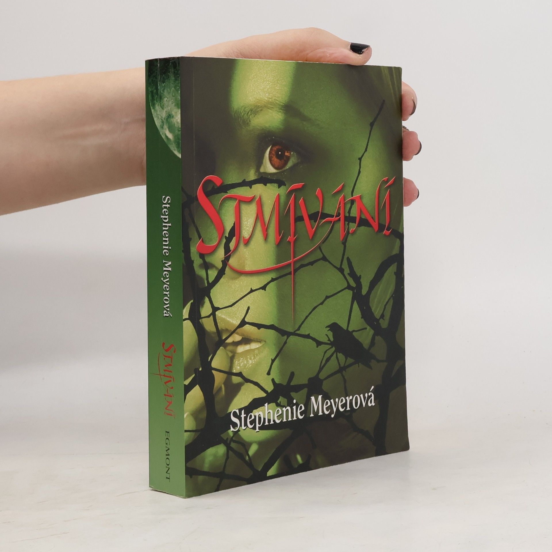 Stmívání