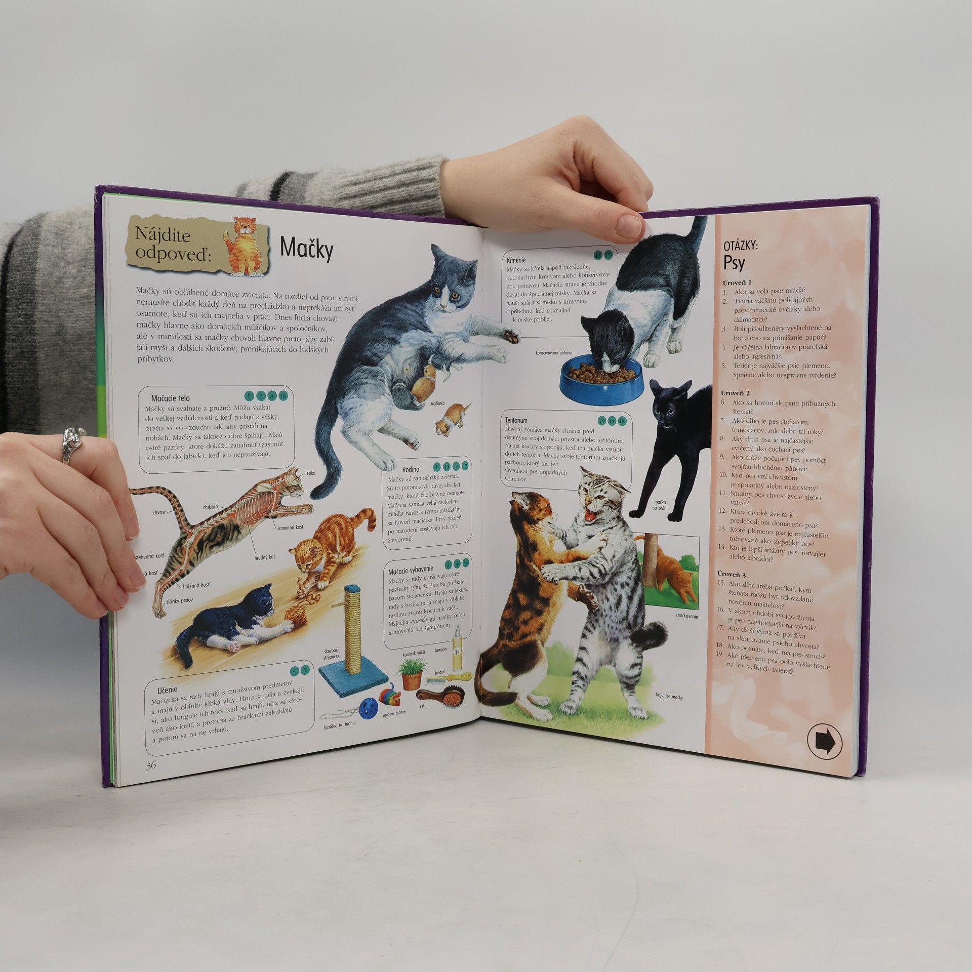 Various authors Svet otázok a odpovedí