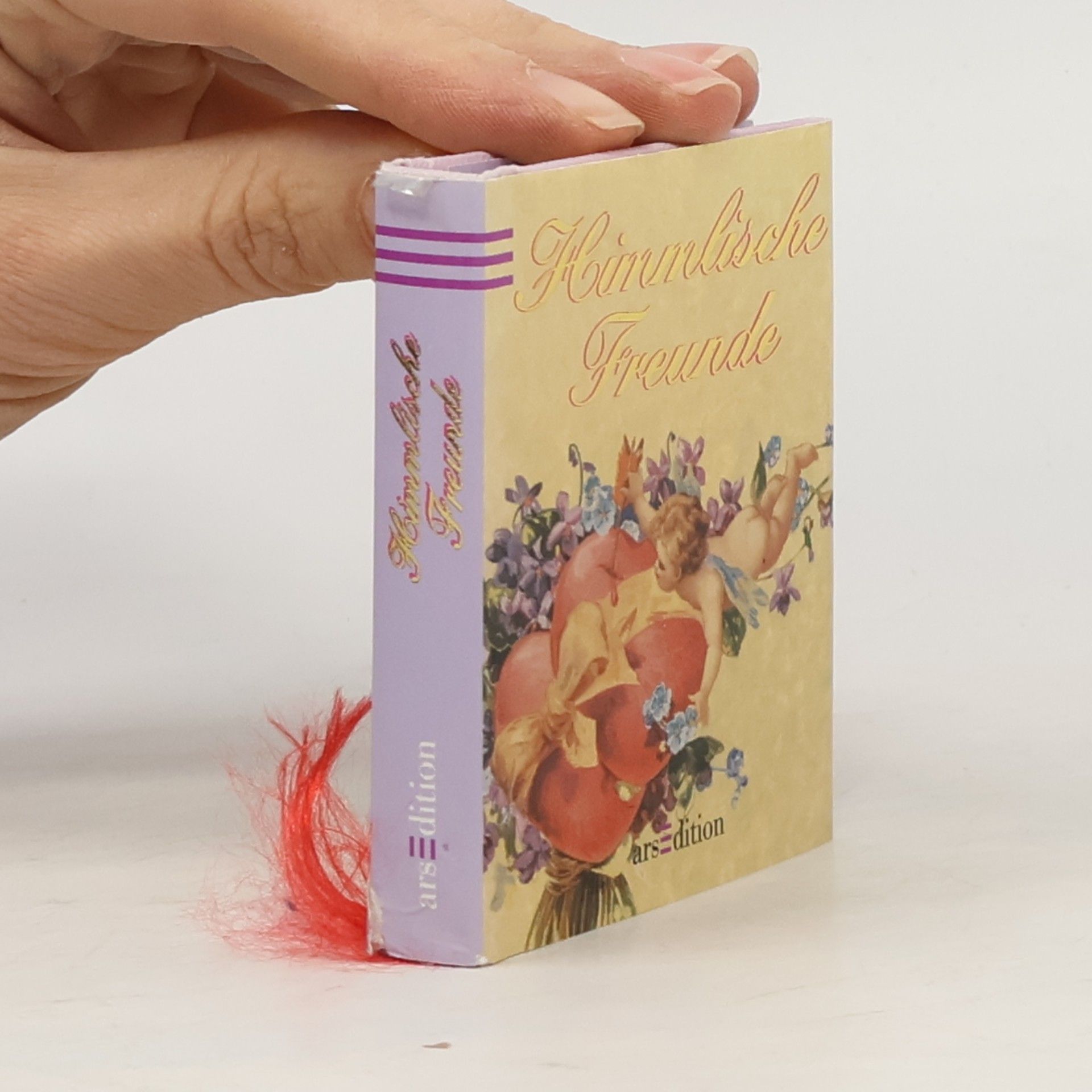 Mini-Libri: Himmlische Freunde