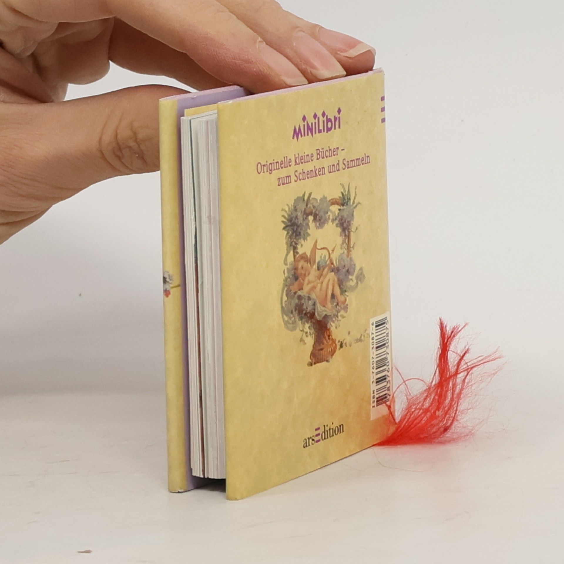Heidemarie Herzog Mini-Libri: Himmlische Freunde