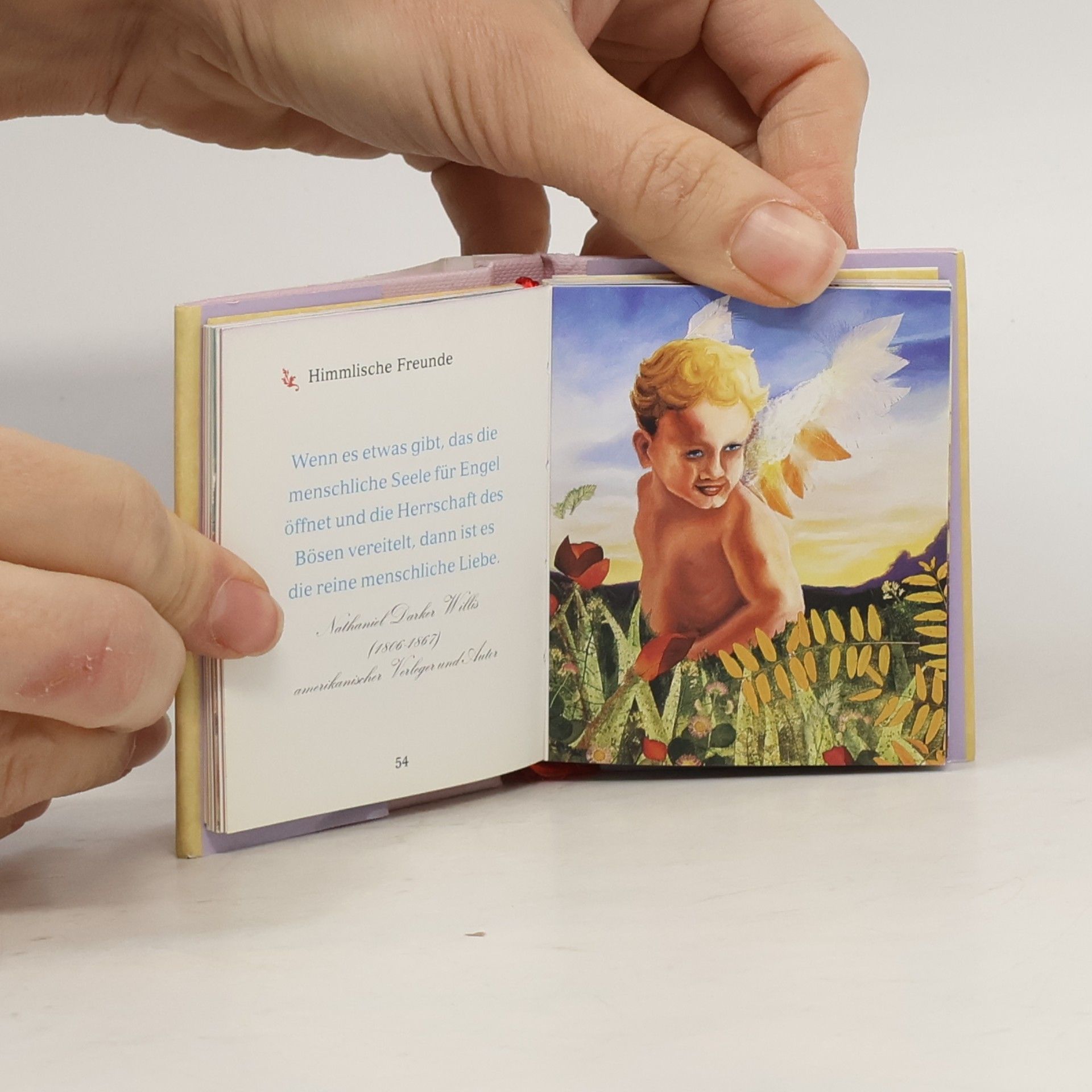 Heidemarie Herzog Mini-Libri: Himmlische Freunde