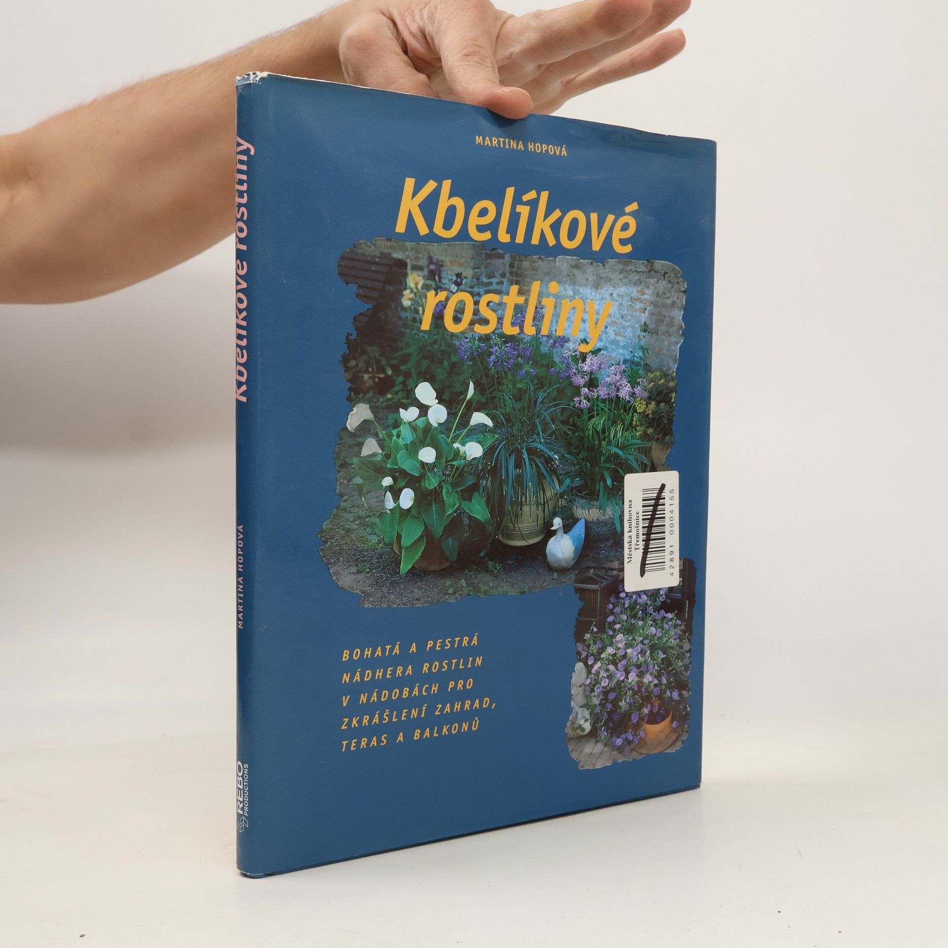Kbelíkové rostliny