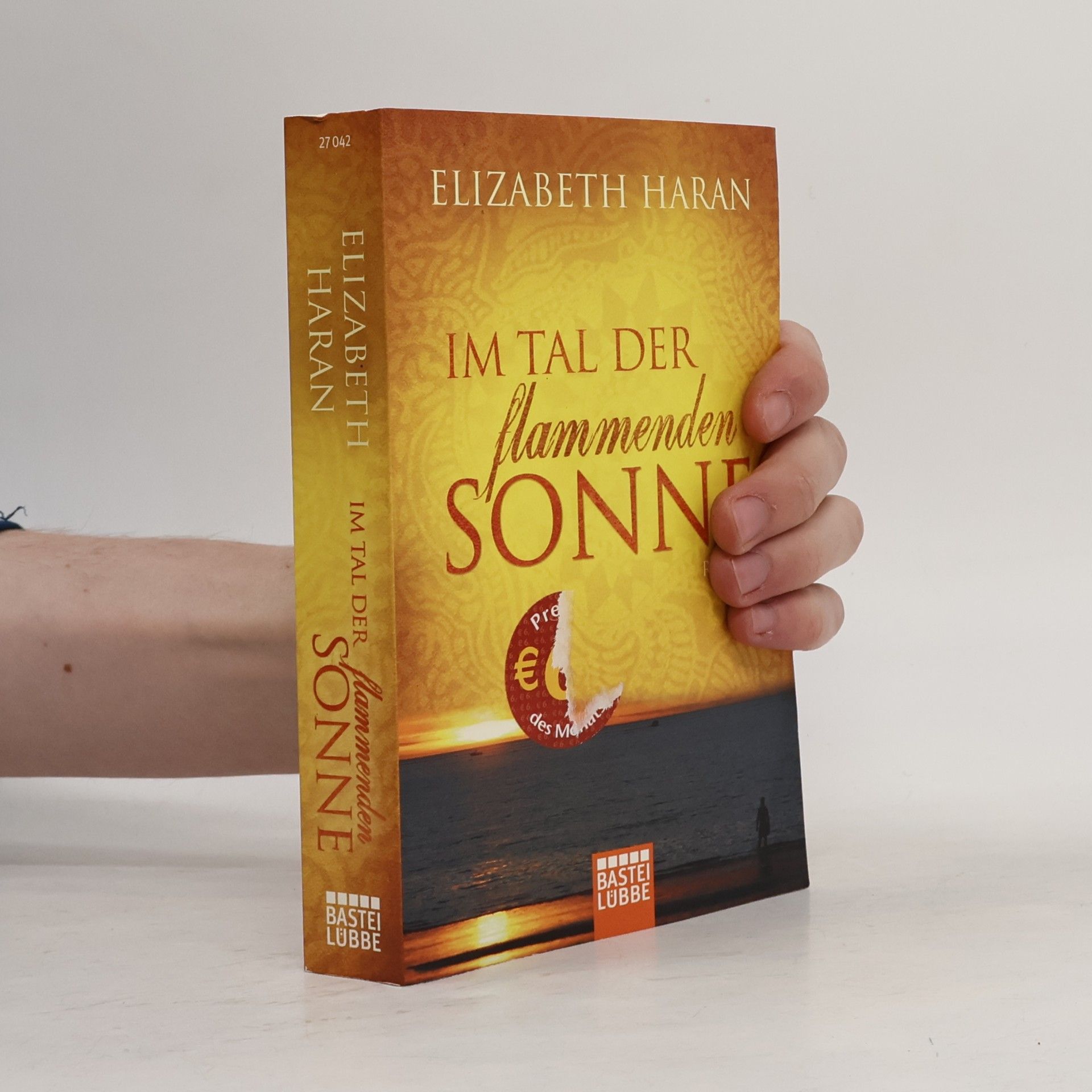 Elizabeth Haran Im Tal der flammenden Sonne