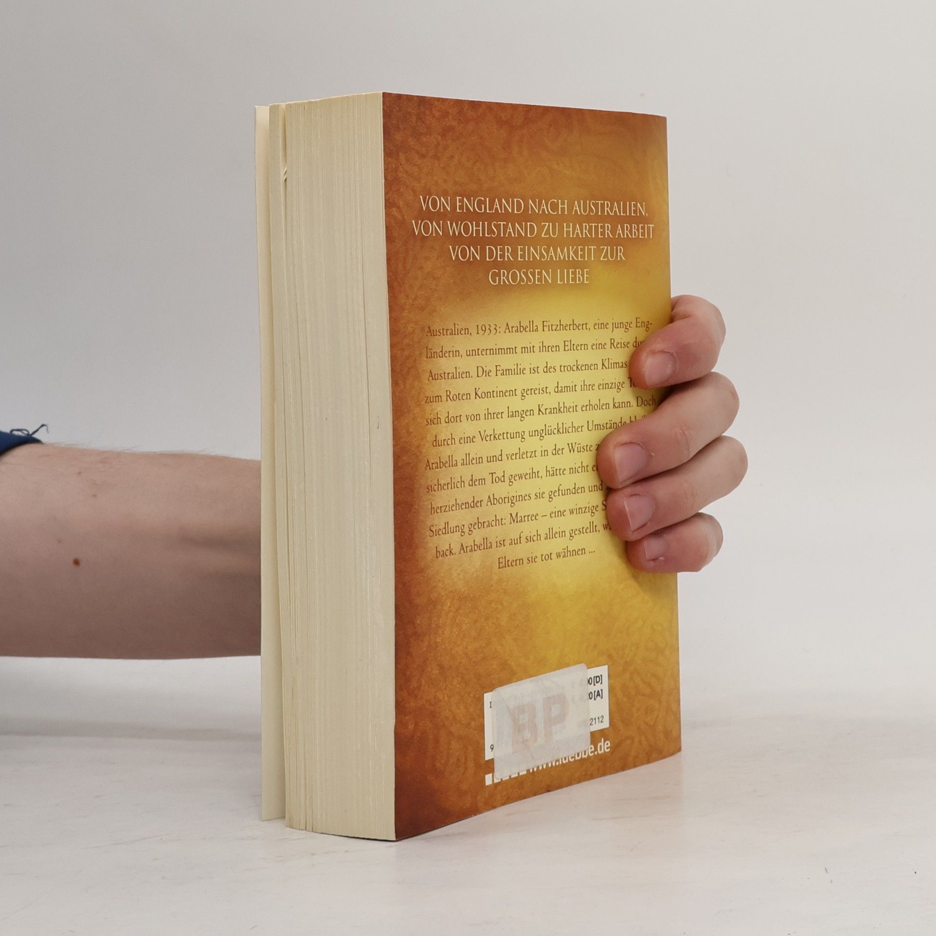 Elizabeth Haran Im Tal der flammenden Sonne