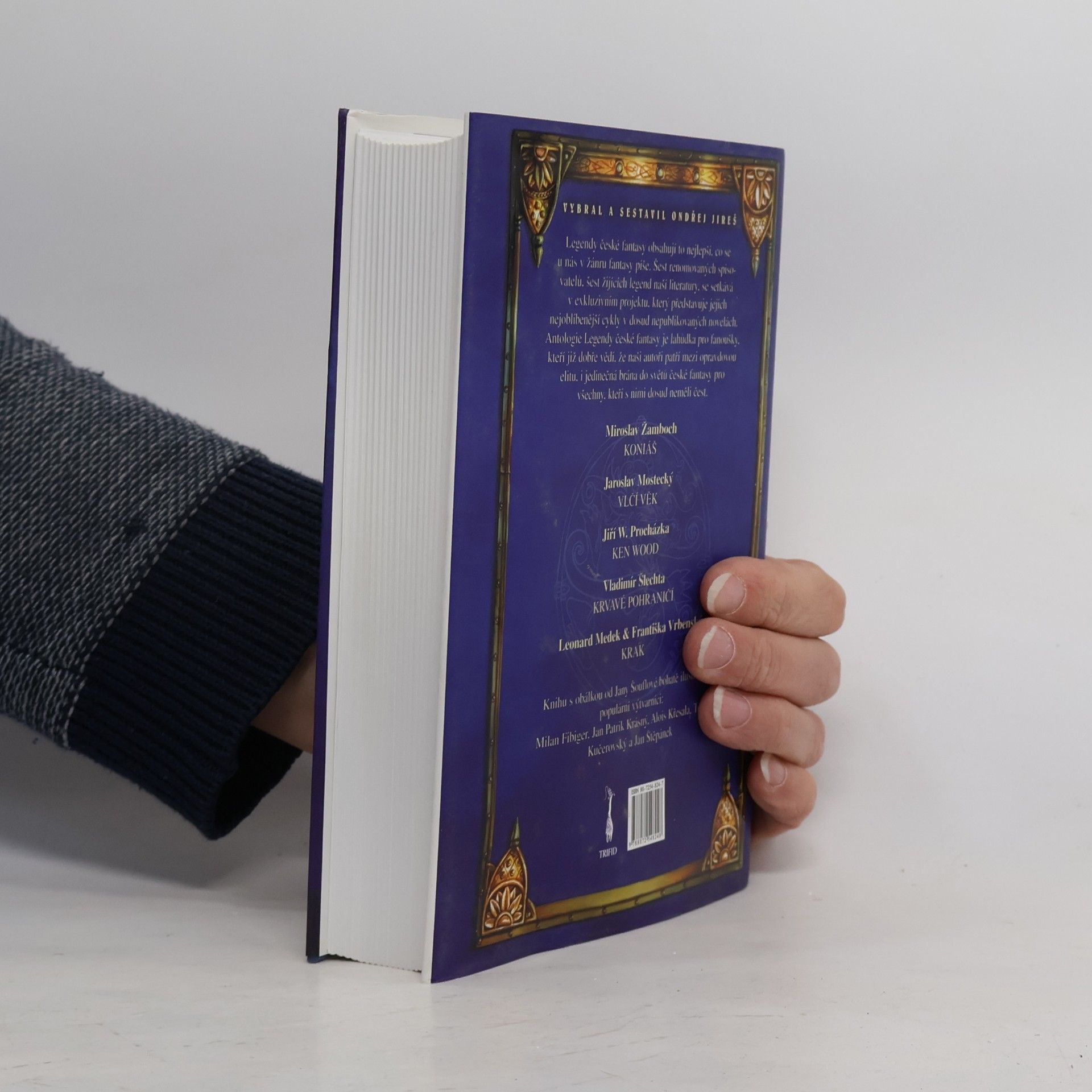 Collectif d'auteurs Legendy české fantasy